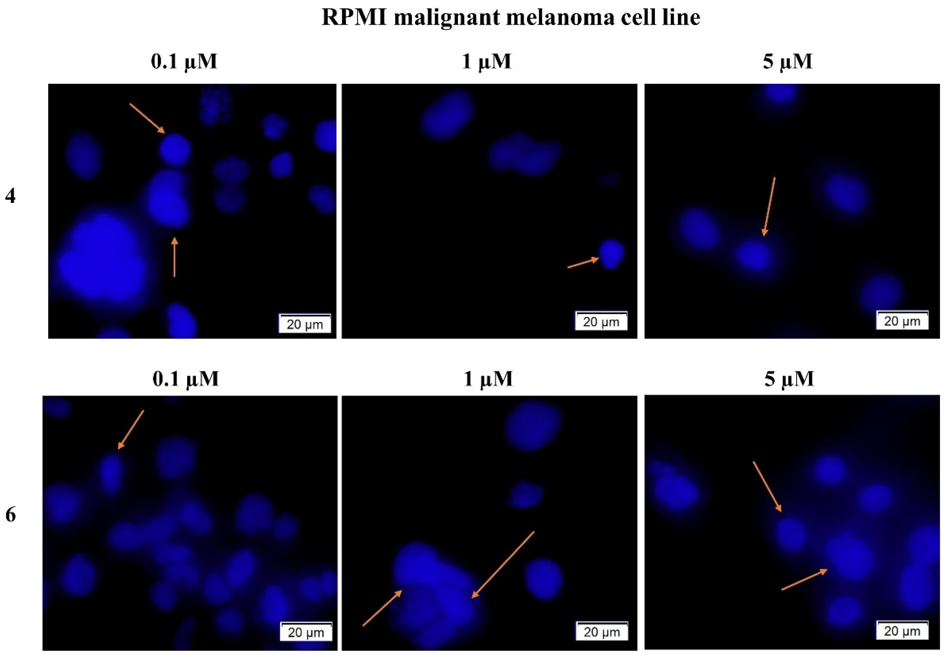 Ijms 22 10967 g003 550