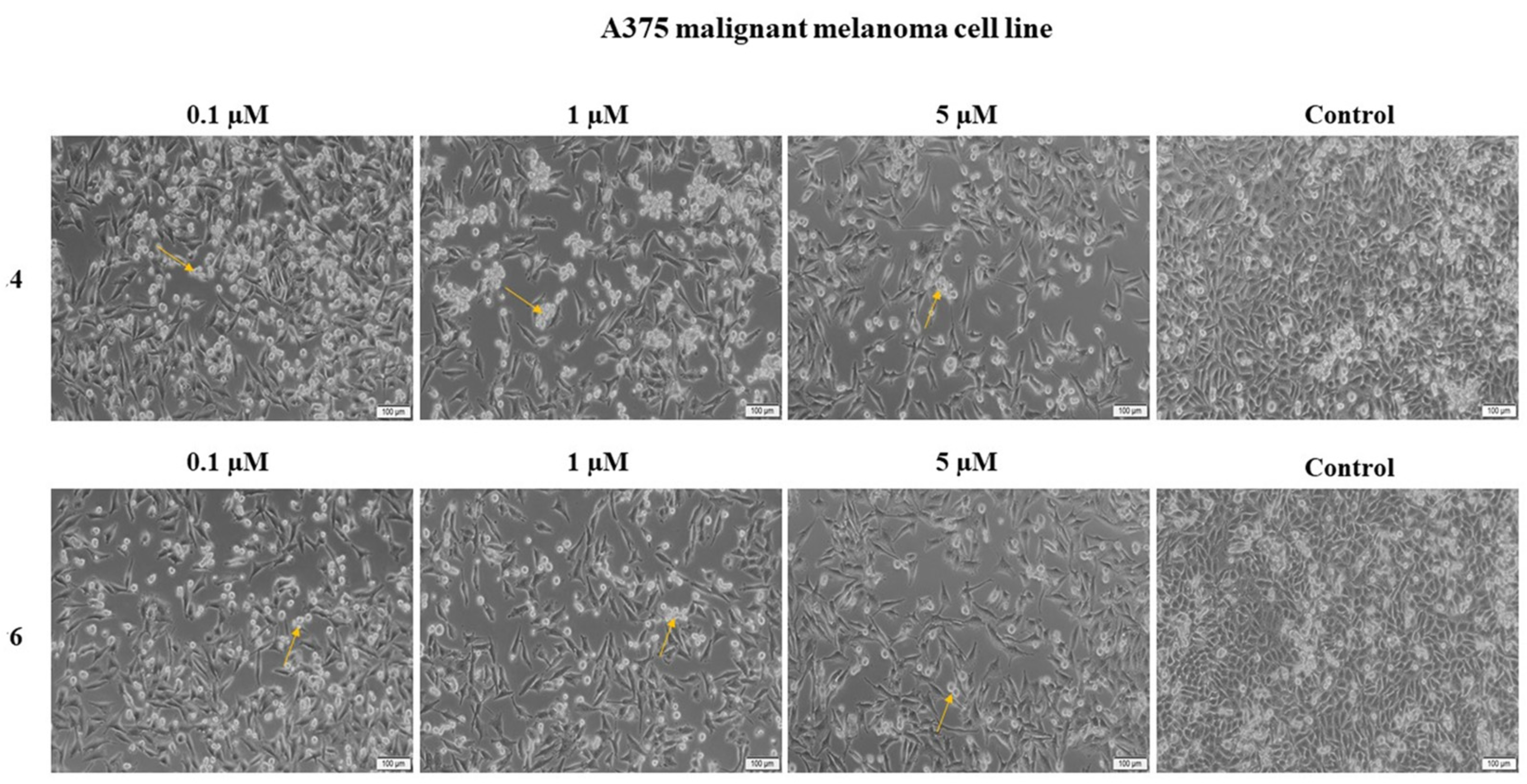 Ijms 22 10967 g005 550