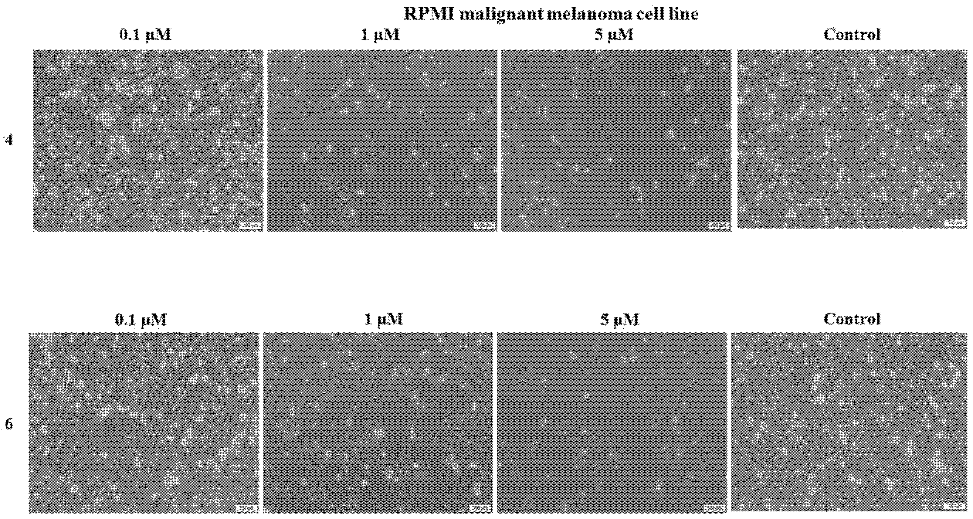 Ijms 22 10967 g006 550