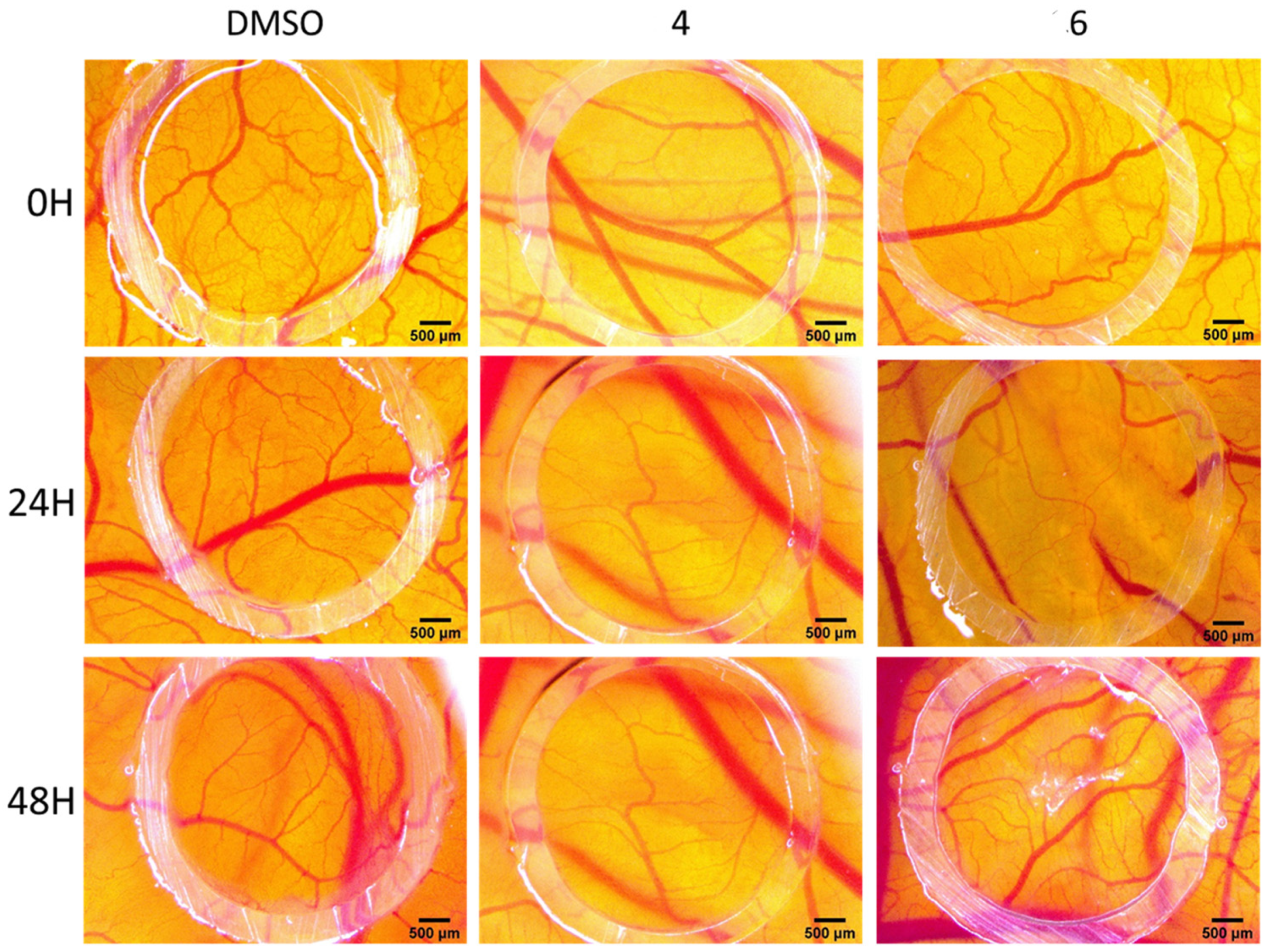 Ijms 22 10967 g011 550