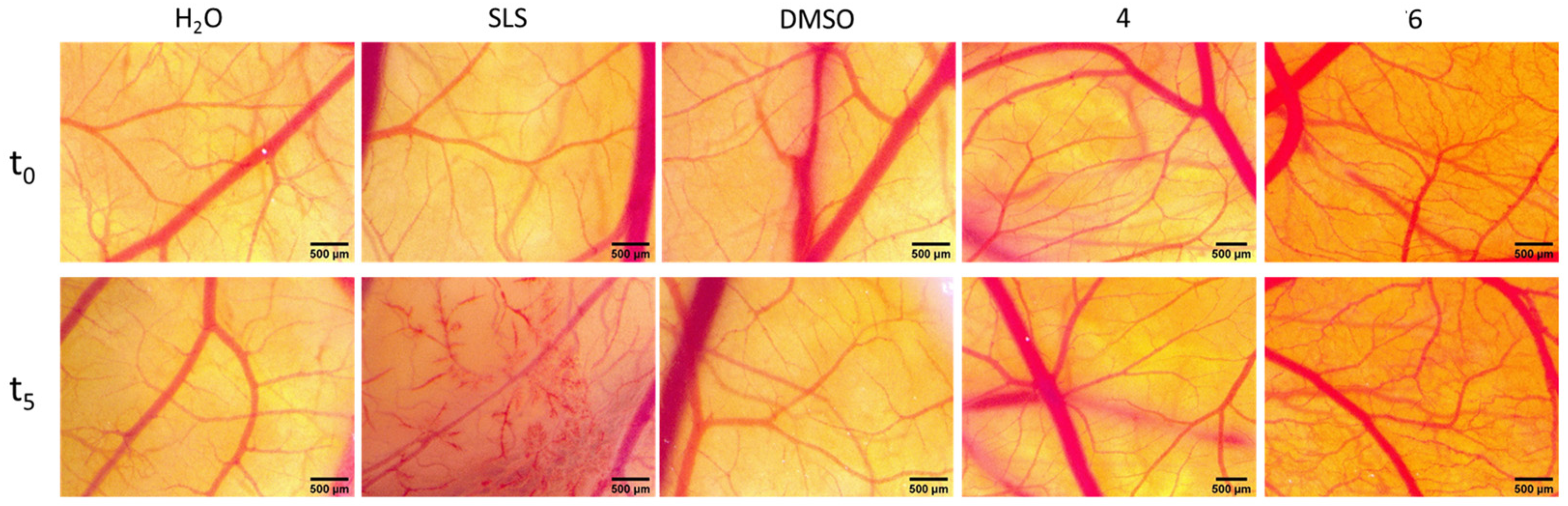 Ijms 22 10967 g012 550