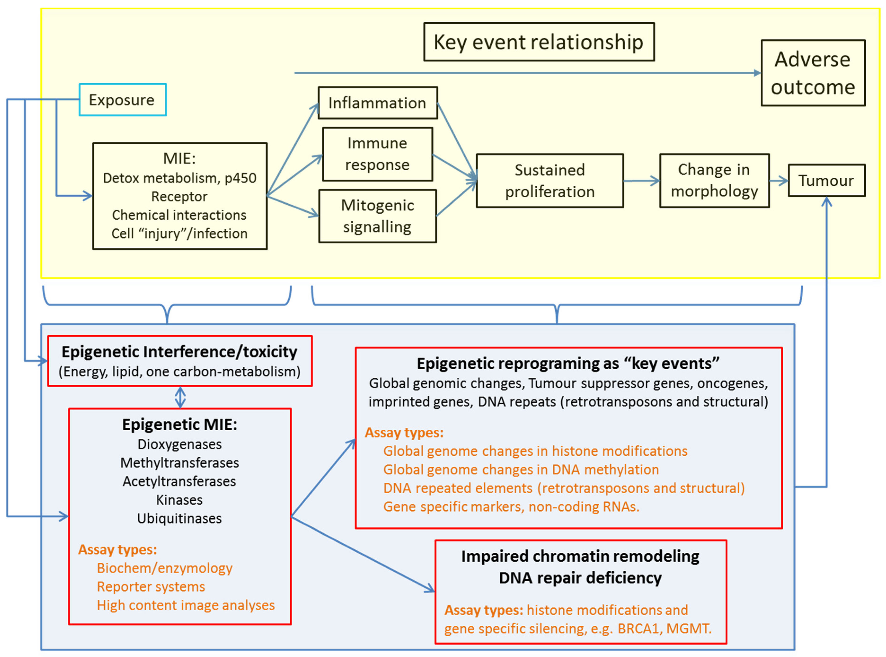 Ijms 22 10969 g003 Ijms 22 10969 g003