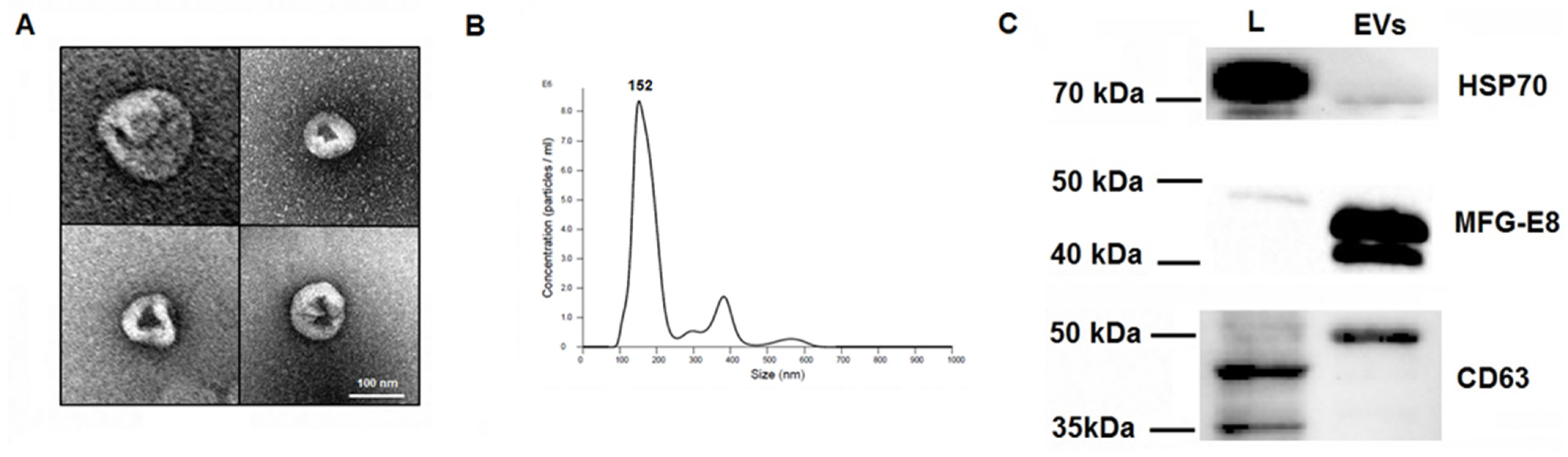 Ijms 22 10970 g001 550