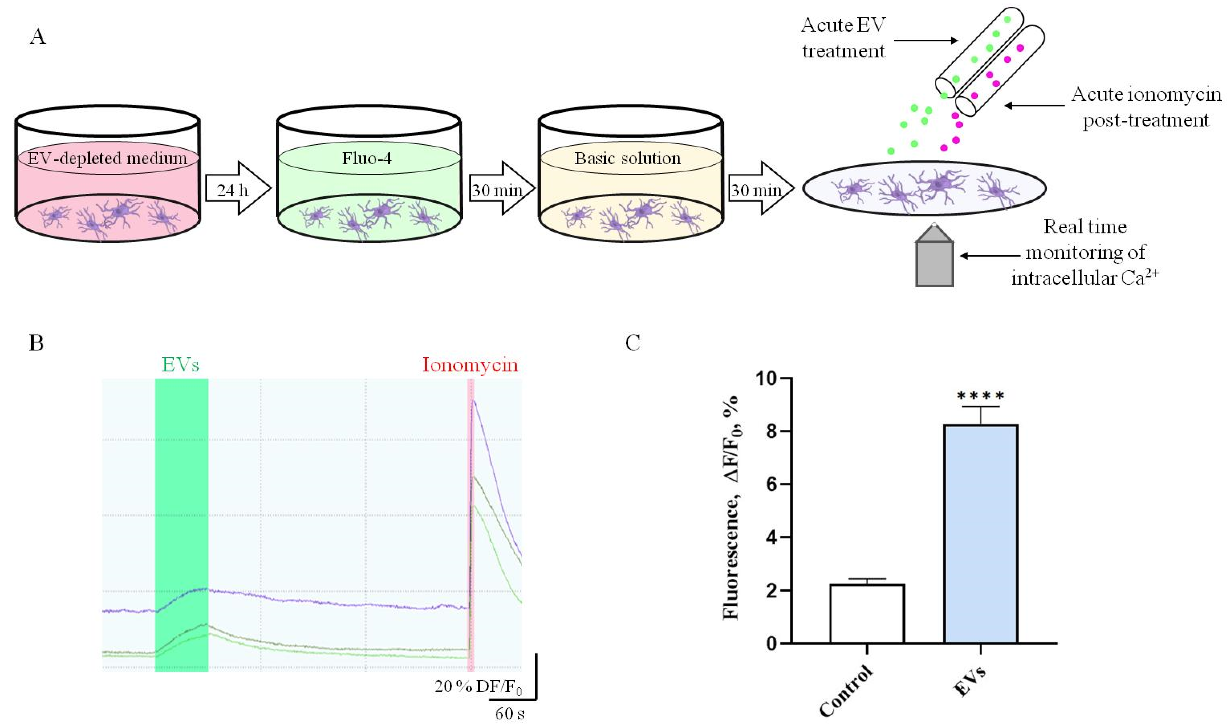 Ijms 22 10970 g002 550