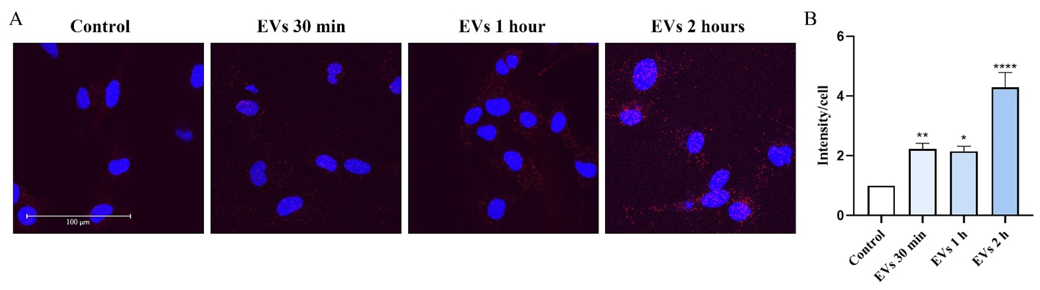 Ijms 22 10970 g005 550