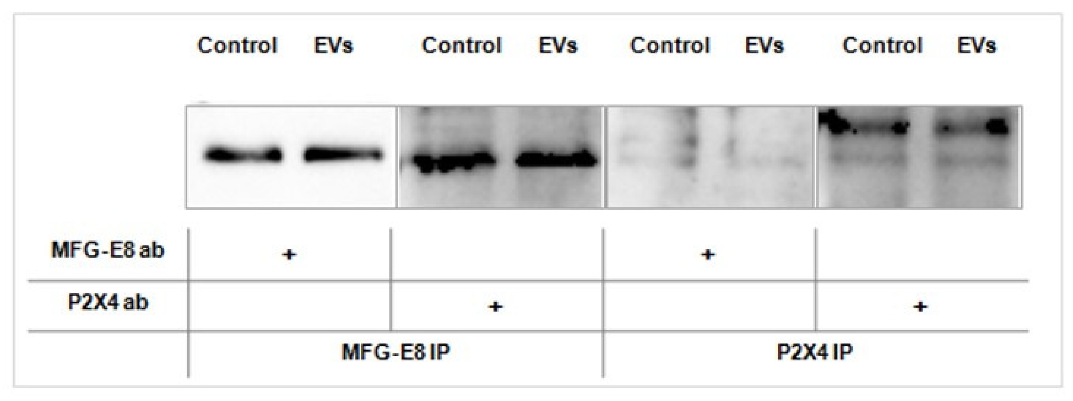 Ijms 22 10970 g006 550