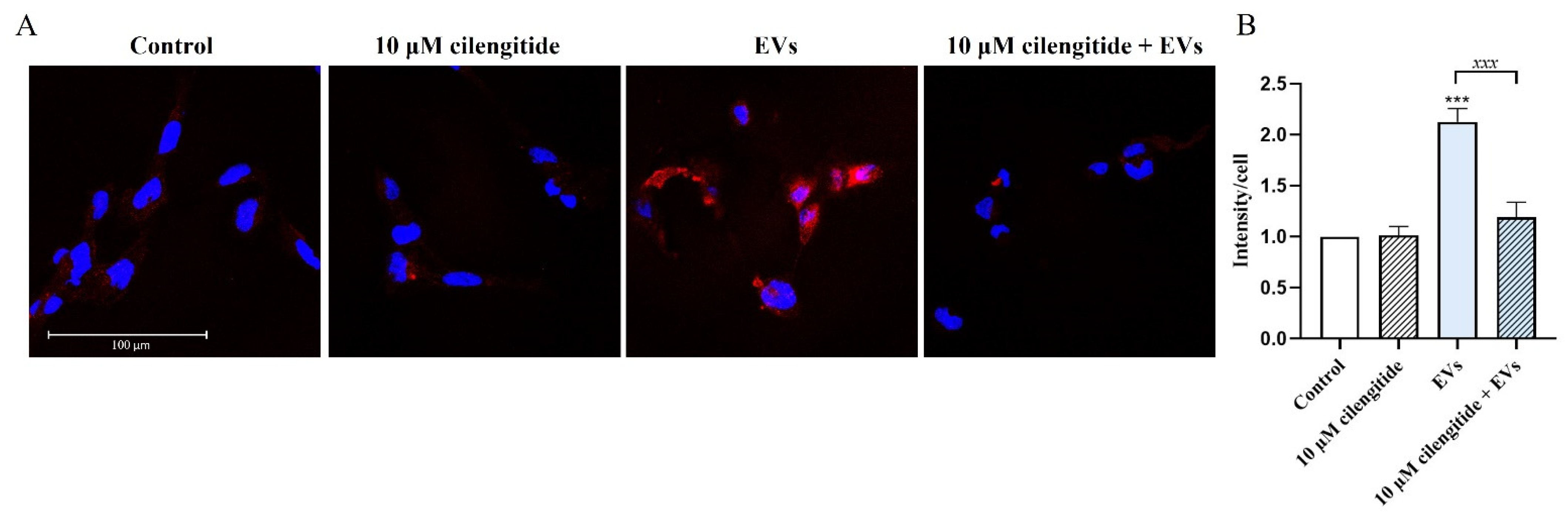 Ijms 22 10970 g008 550