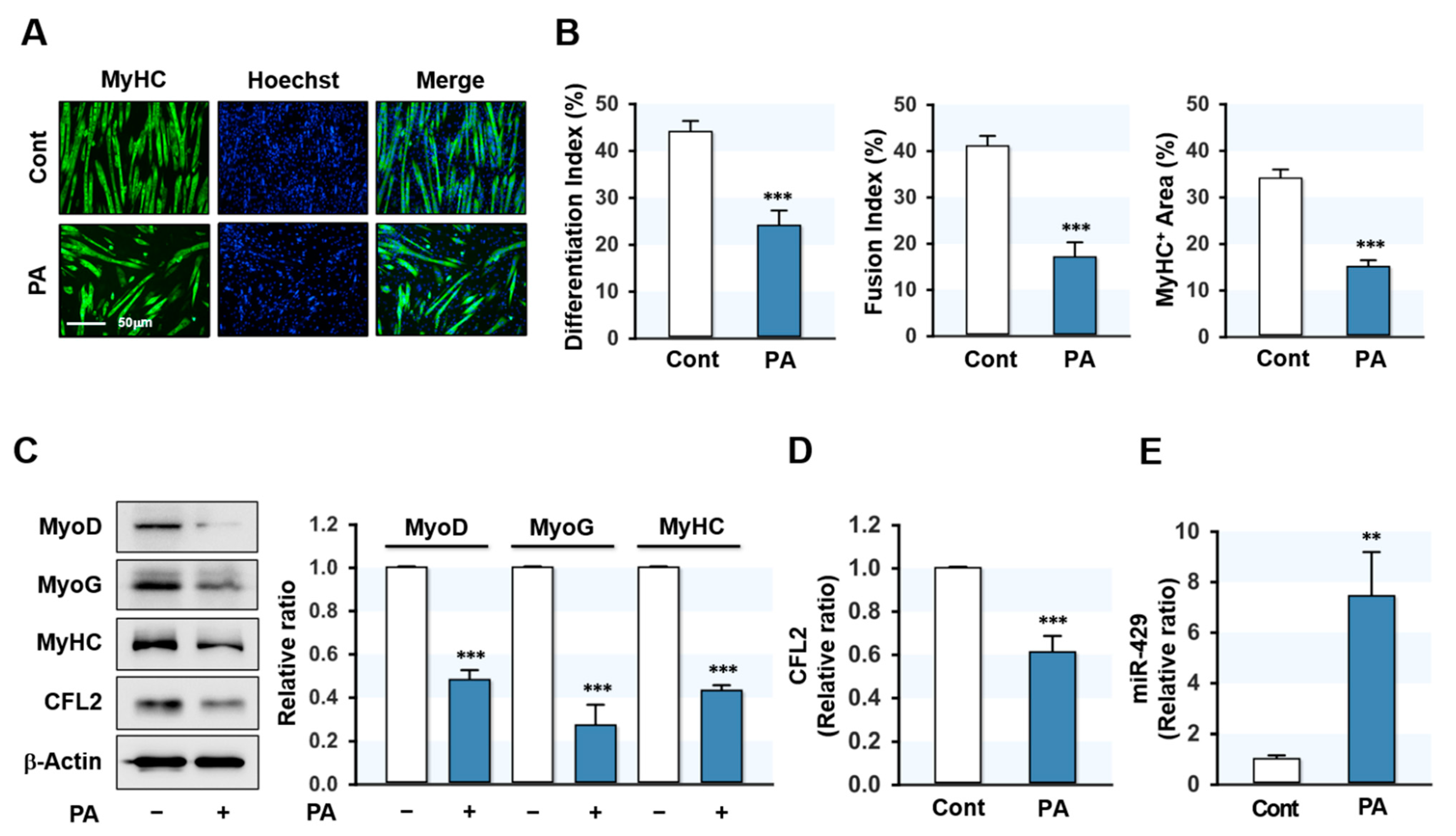 Ijms 22 10972 g001 550