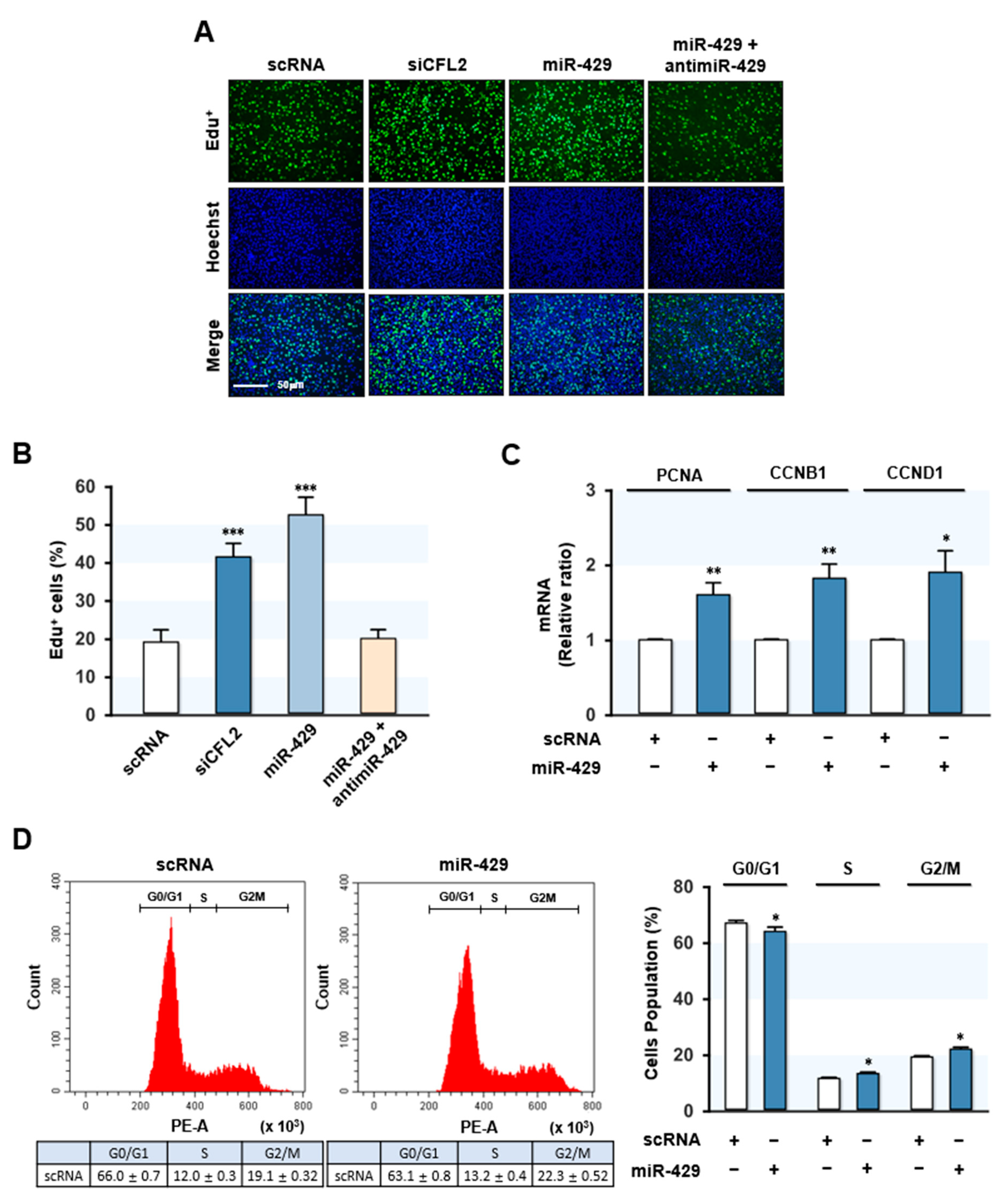 Ijms 22 10972 g004 550