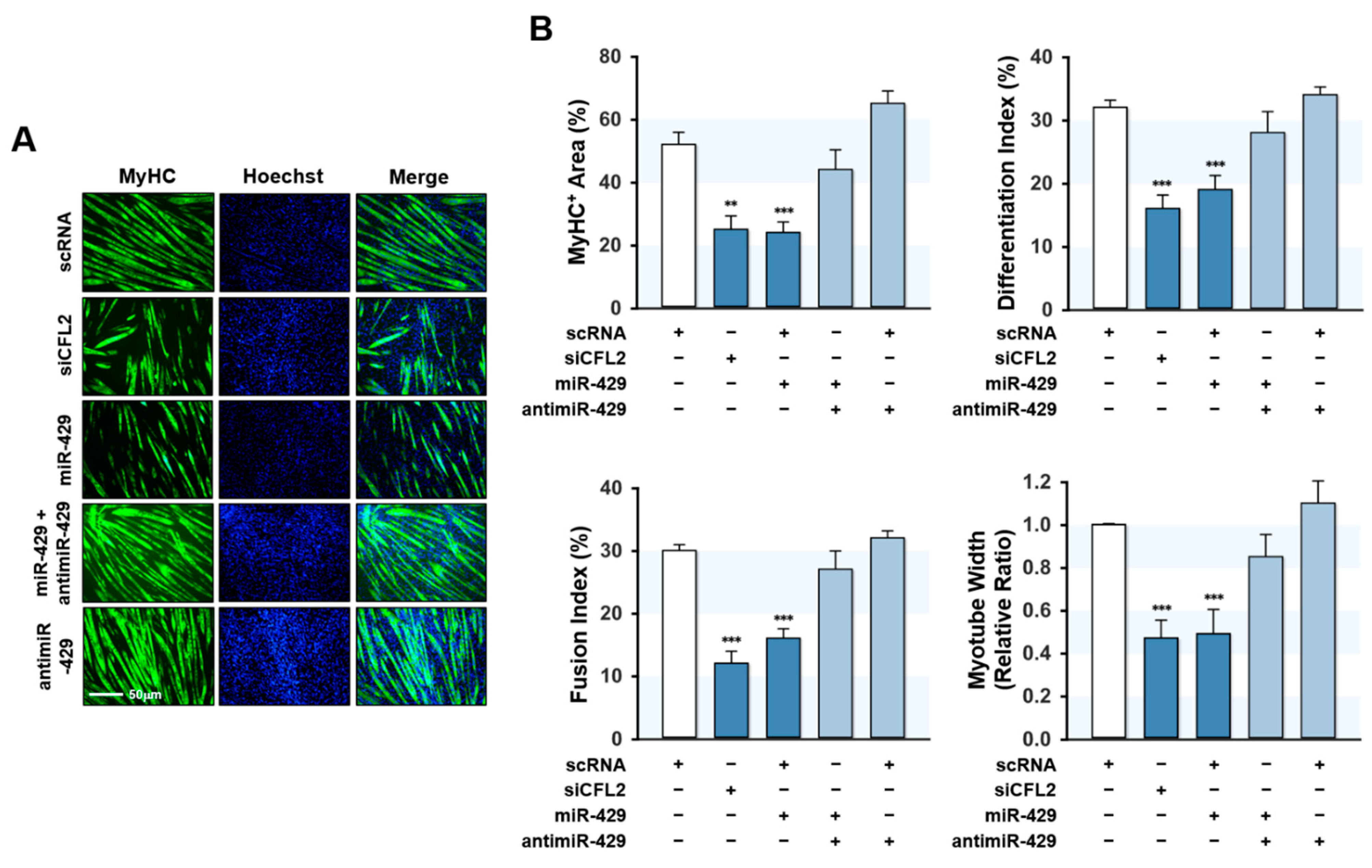 Ijms 22 10972 g006 550