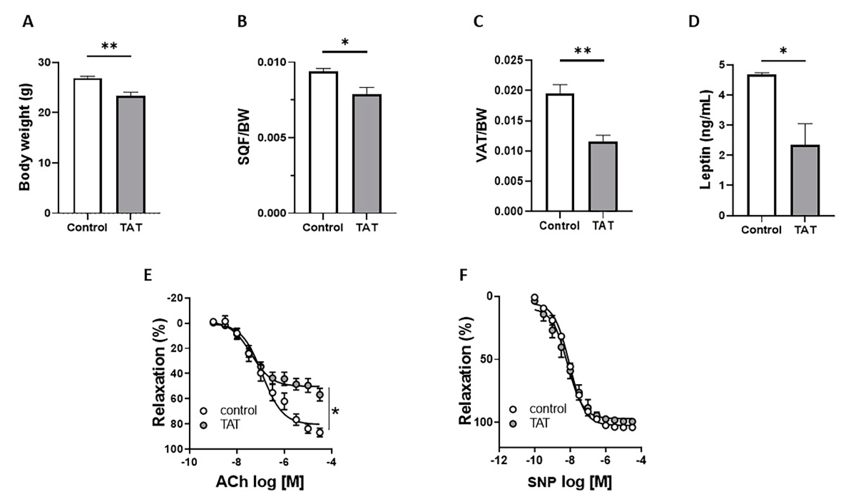 Ijms 22 10977 g001 Ijms 22 10977 g001