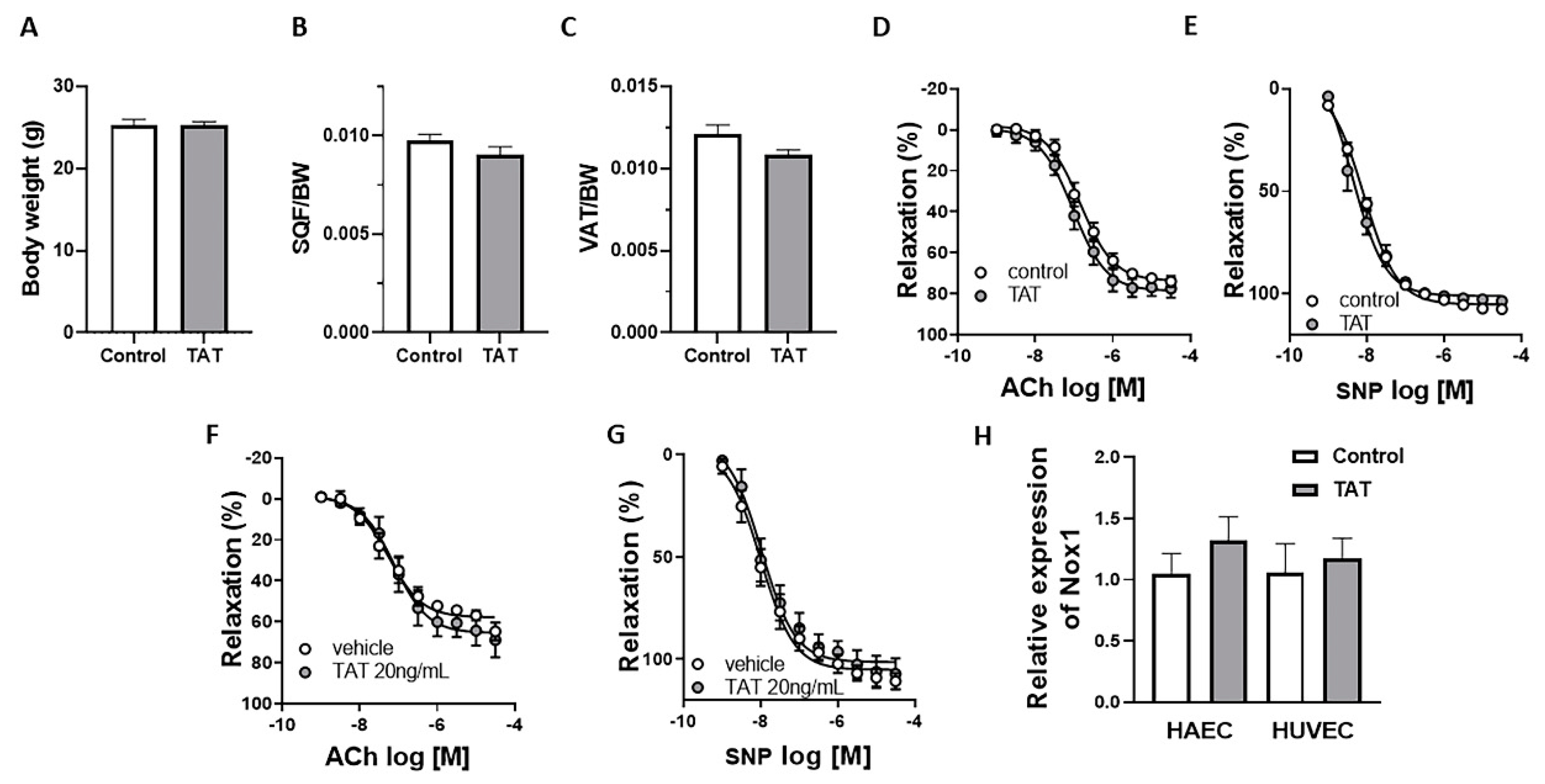 Ijms 22 10977 g002 Ijms 22 10977 g002