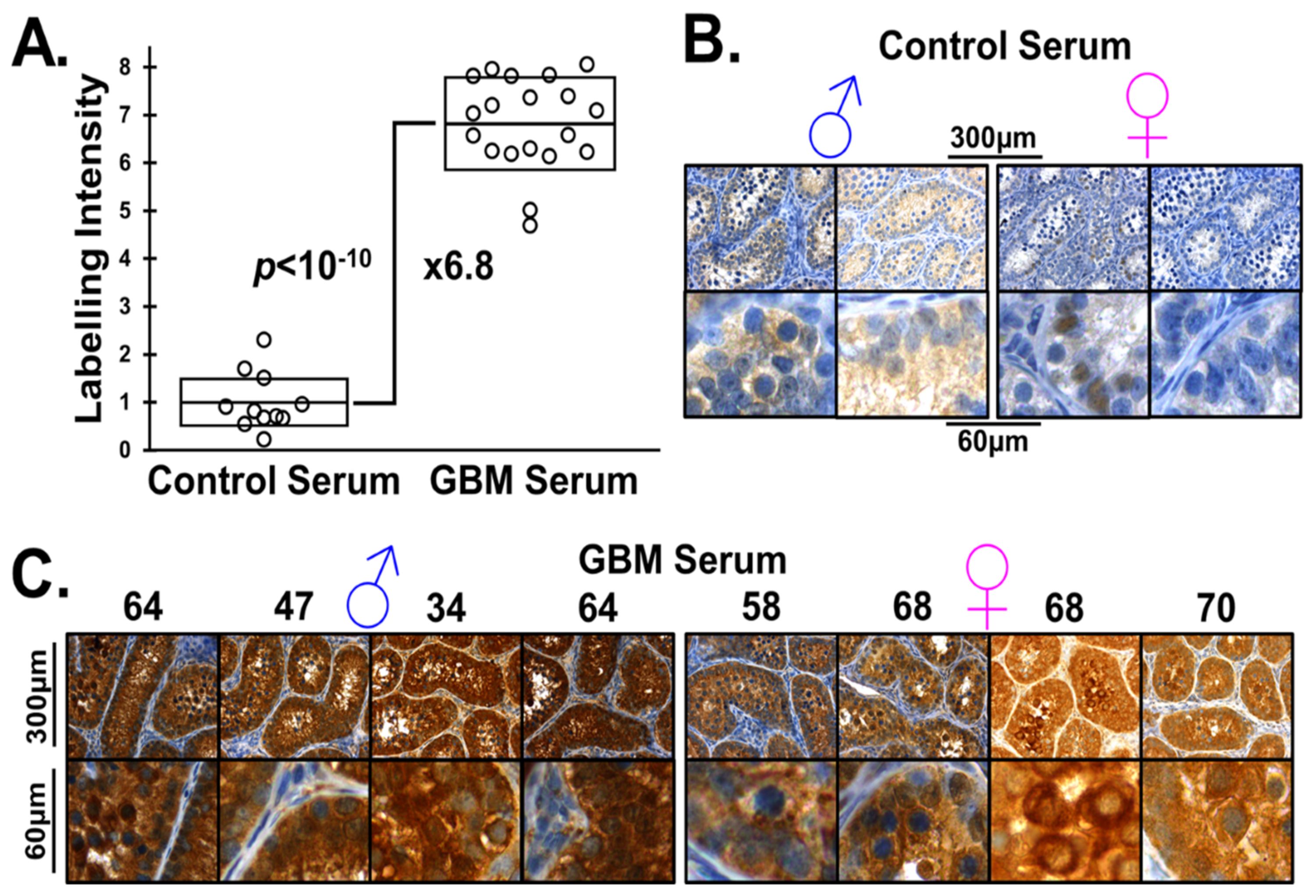 Ijms 22 10983 g004 Ijms 22 10983 g004