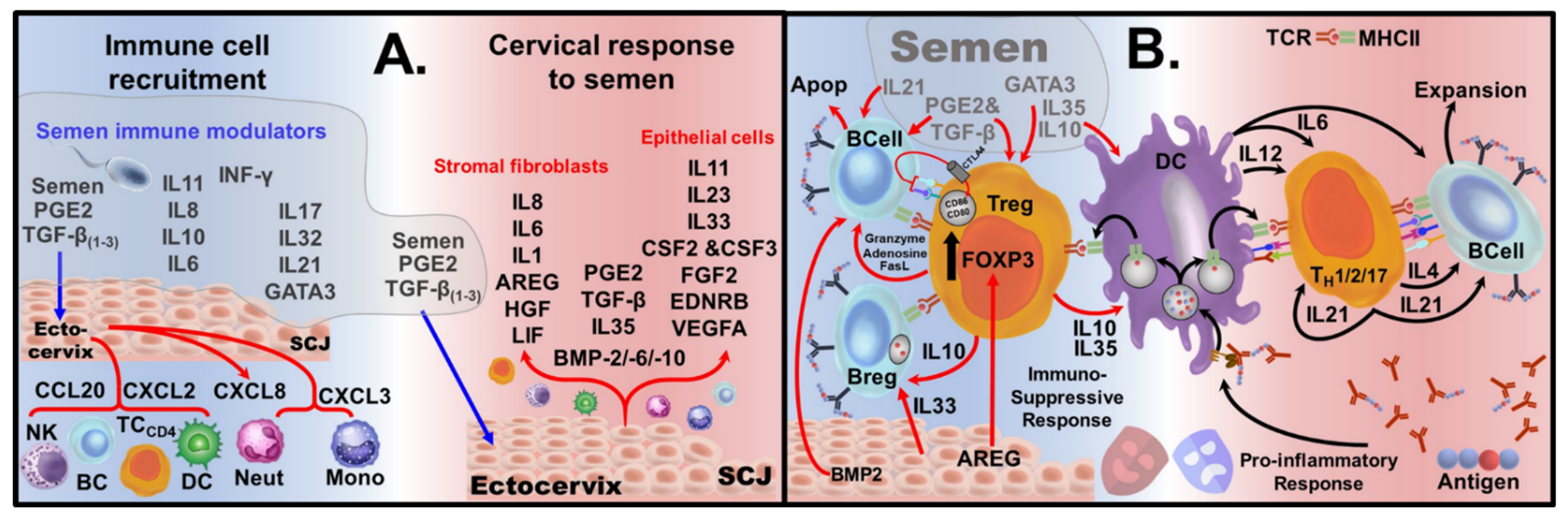 Ijms 22 10983 g0a1 Ijms 22 10983 g0a1