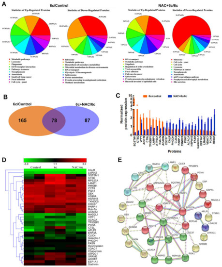 Reactive Oxygen Species Mediate 6c-Induced Mitochondrial and Lysosomal ...