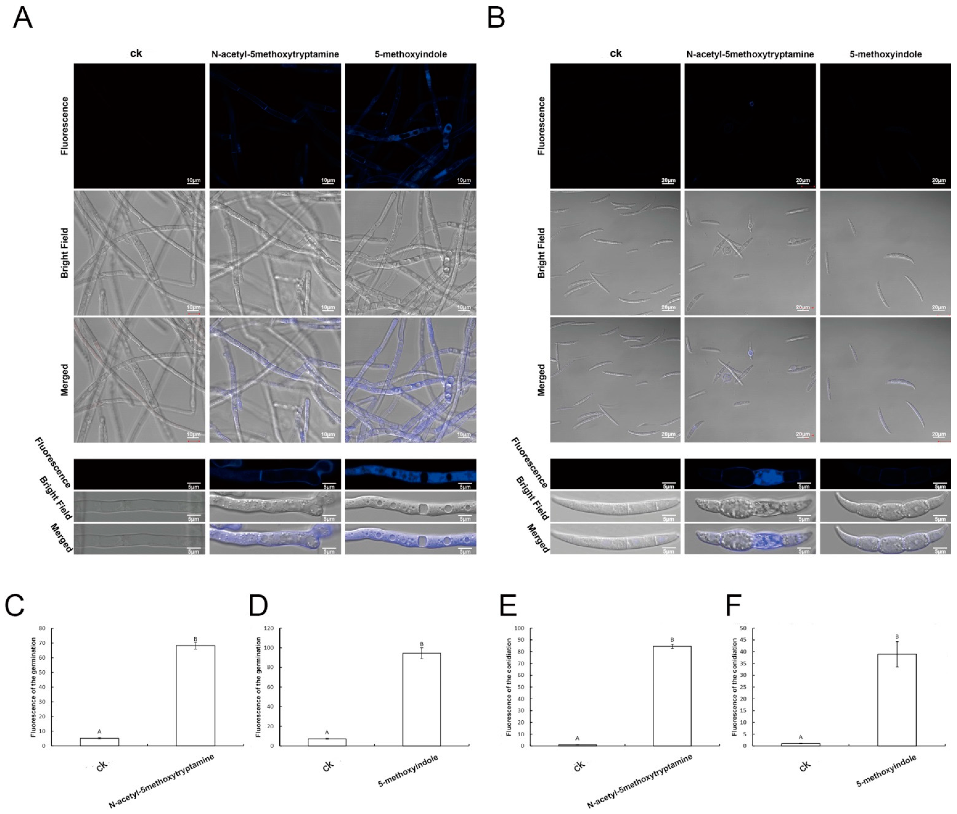 Ijms 22 10991 g007 550