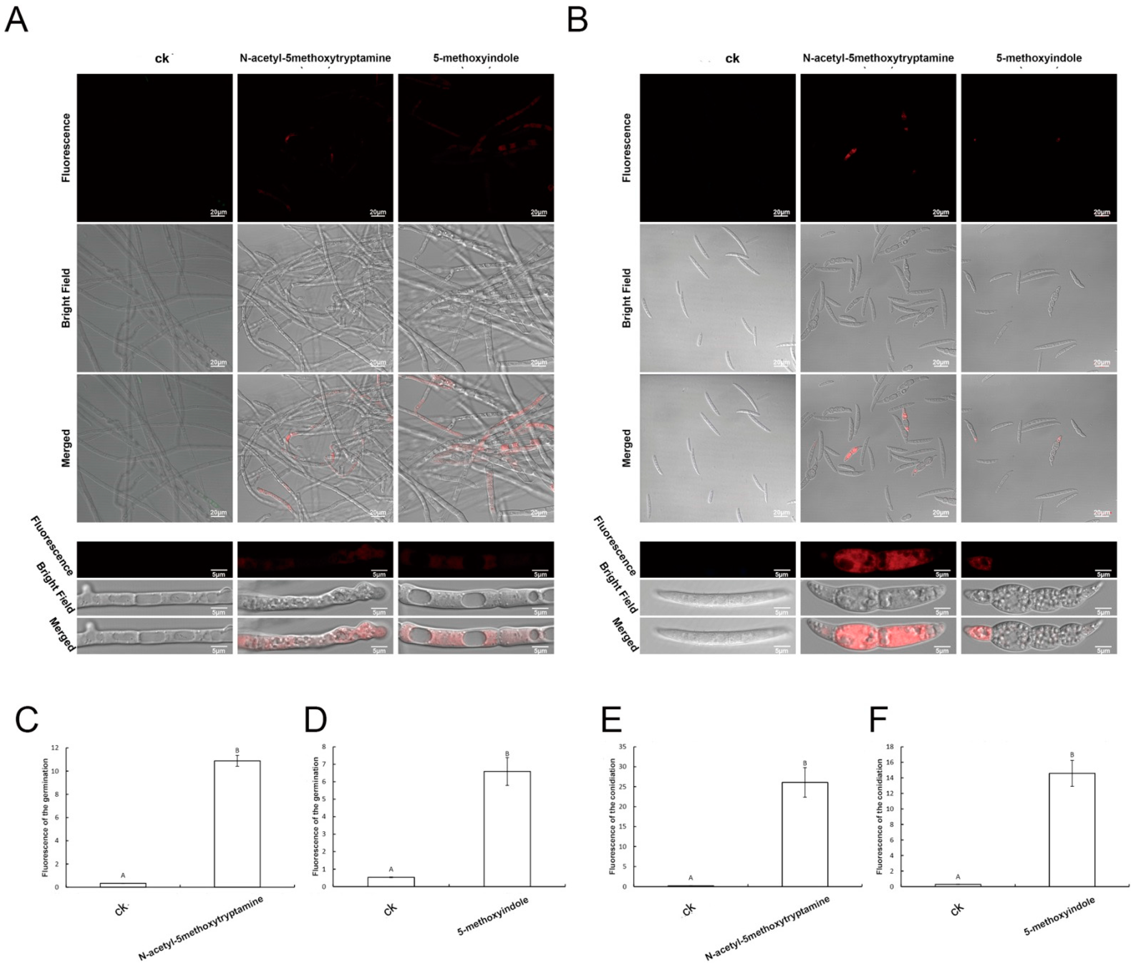 Ijms 22 10991 g008 550