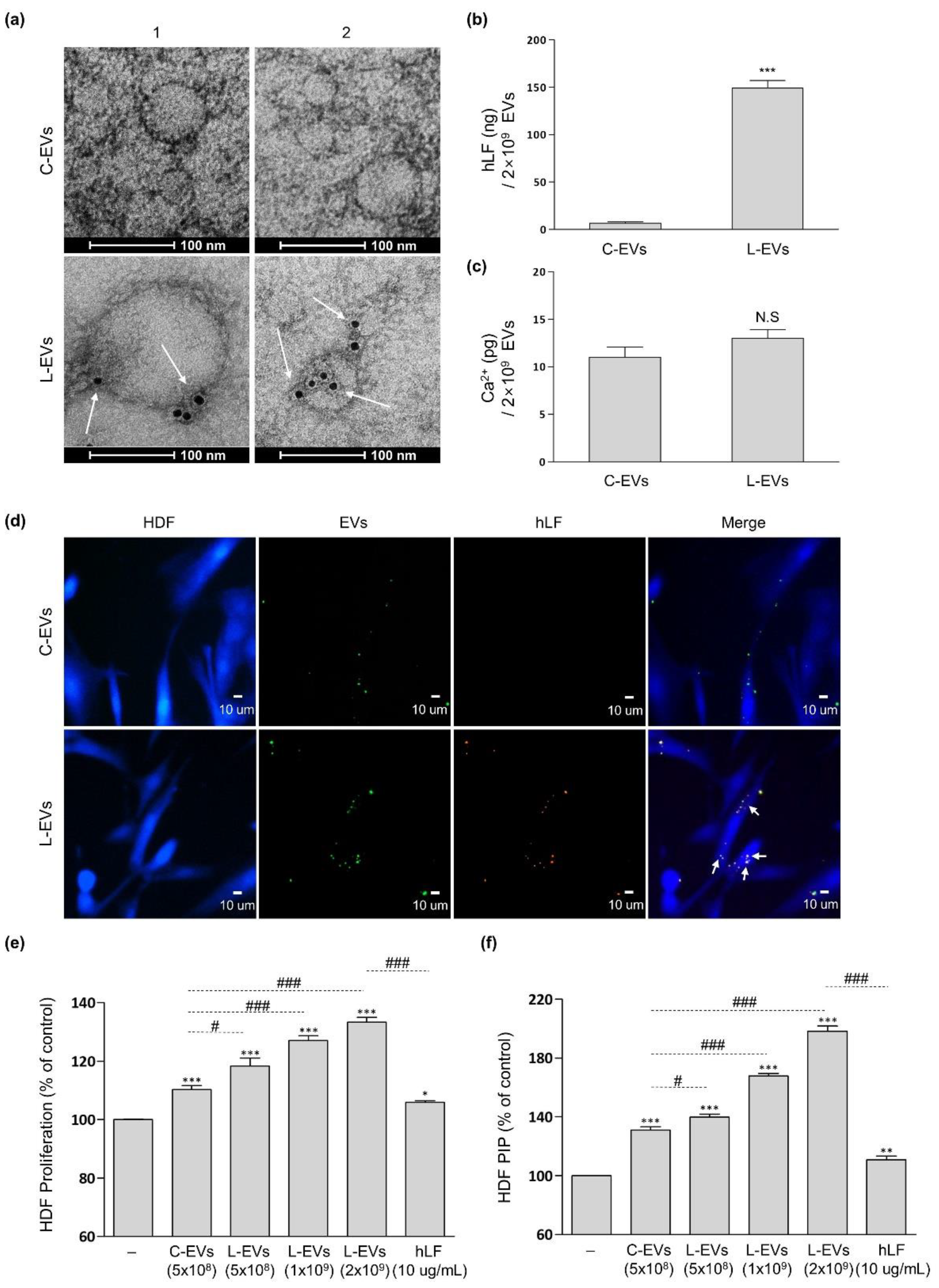 Ijms 22 10993 g003 550