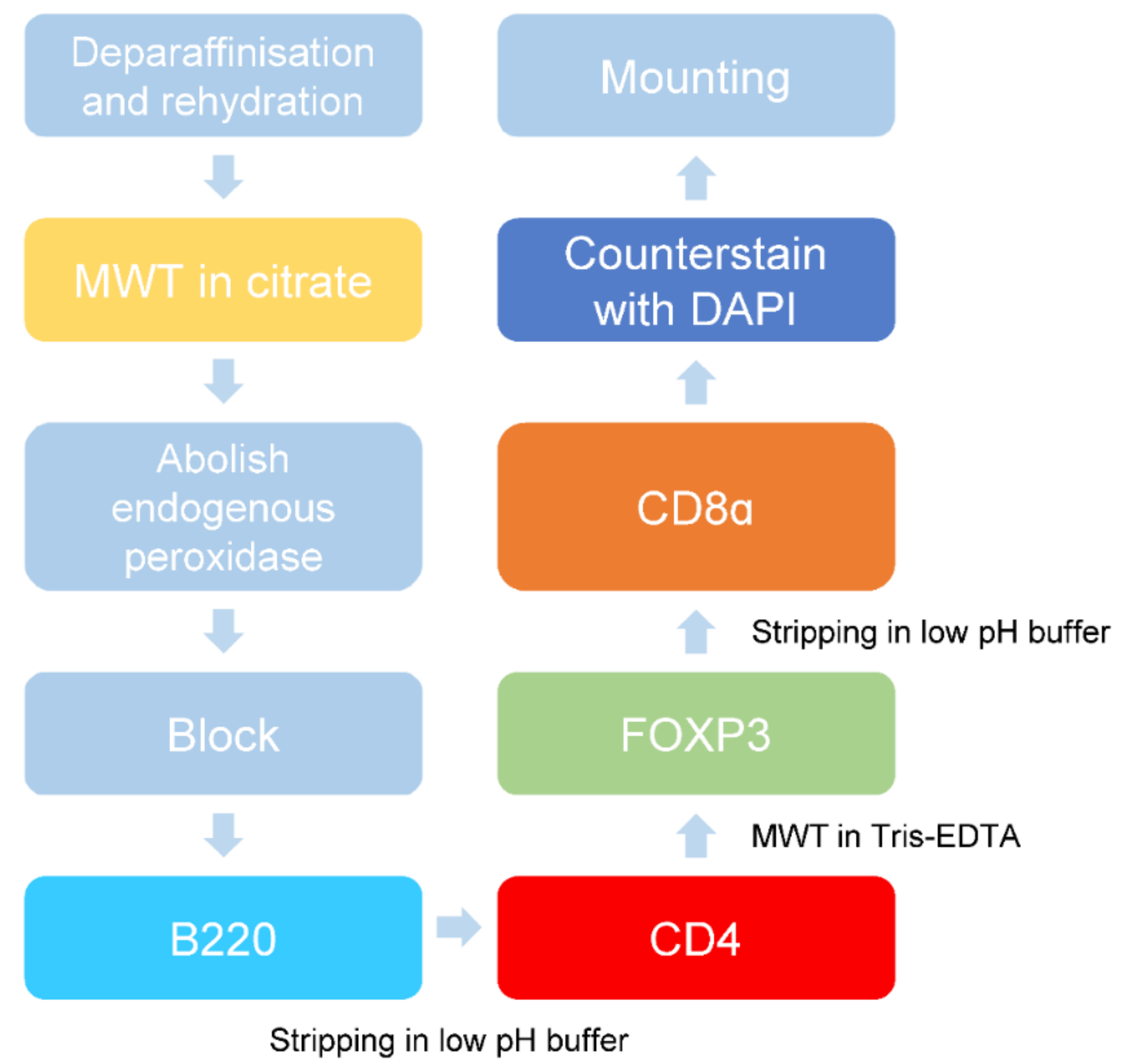 Ijms 22 11001 g003 550