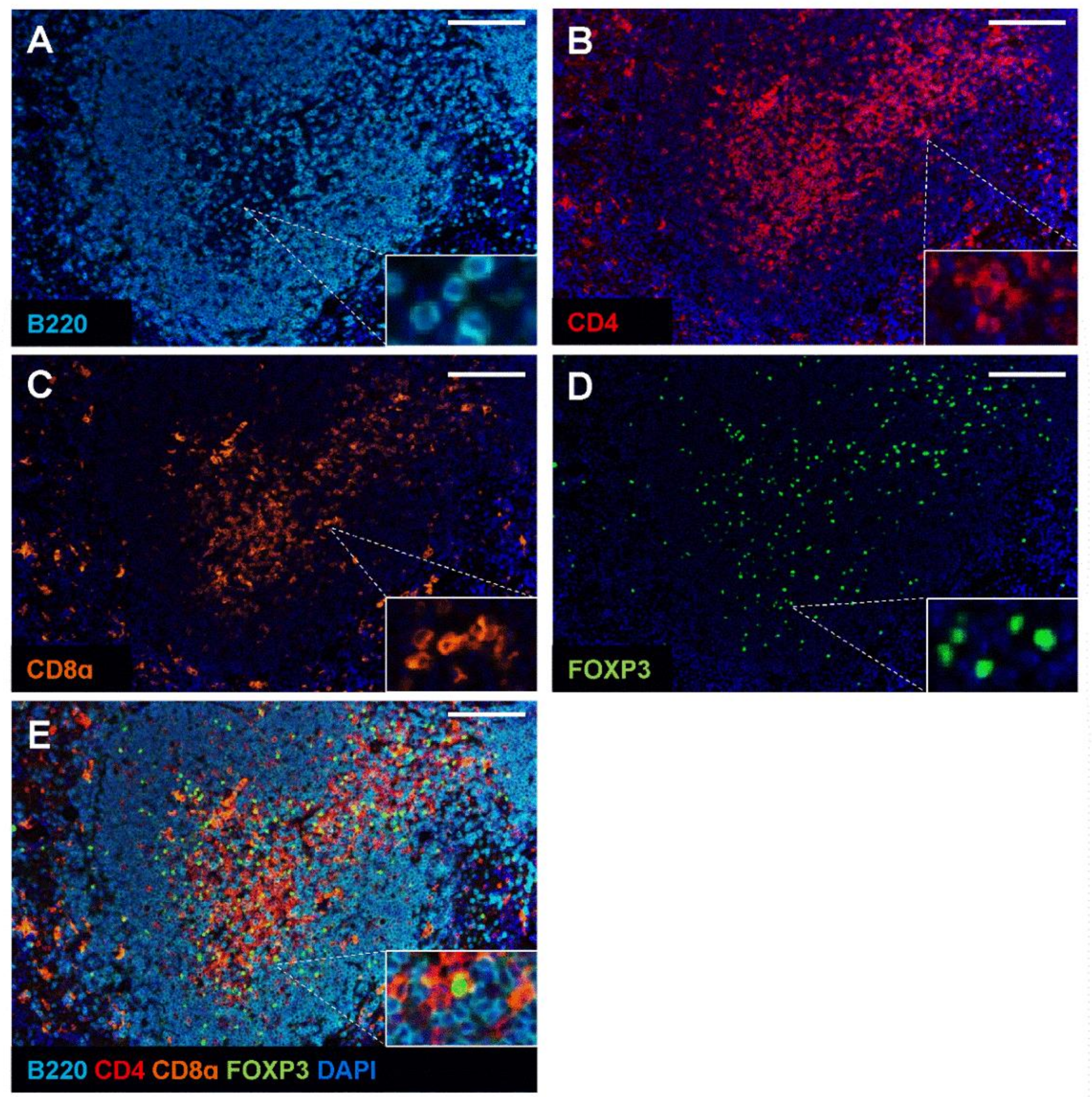 Ijms 22 11001 g004 550