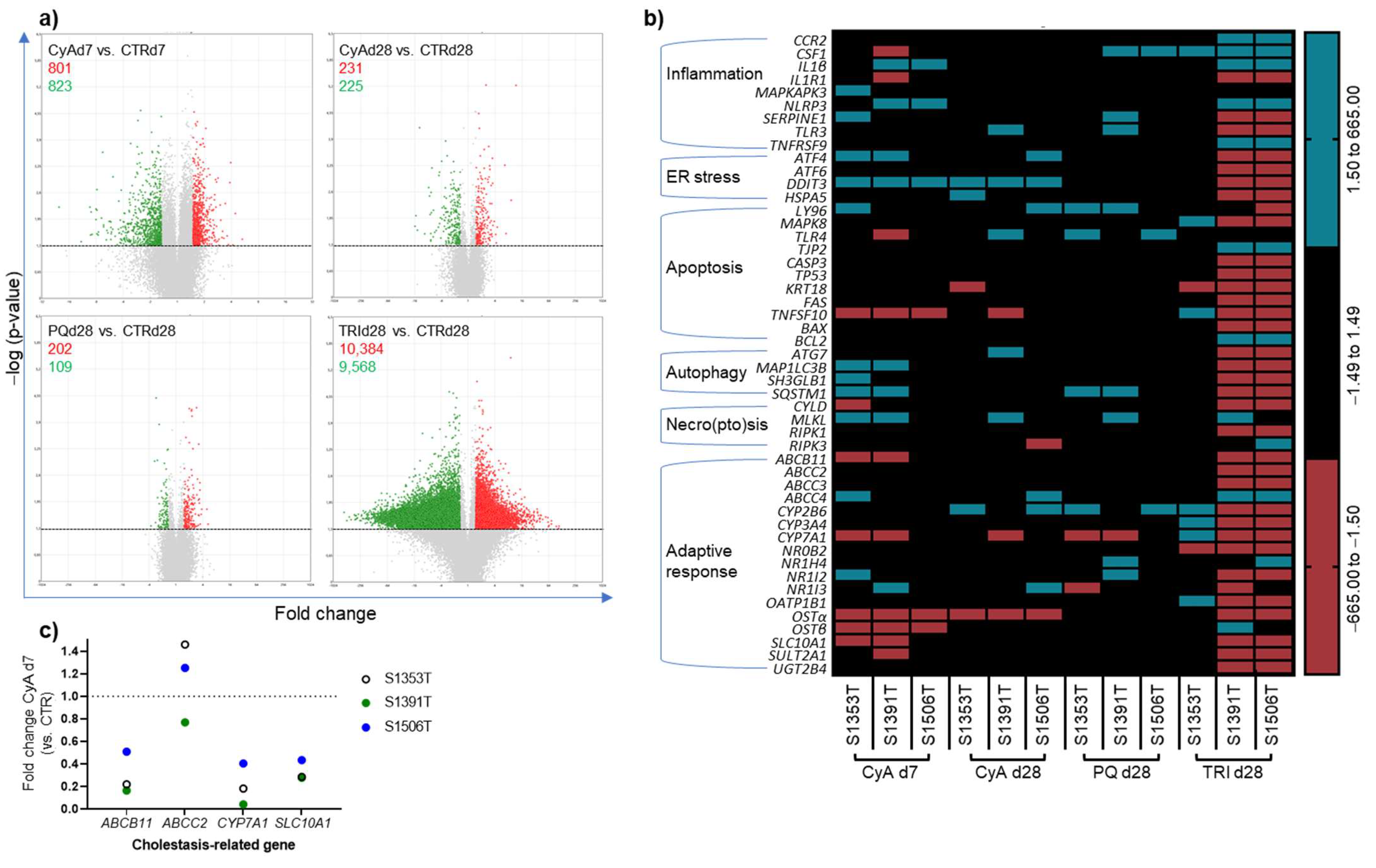 Ijms 22 11005 g004 550