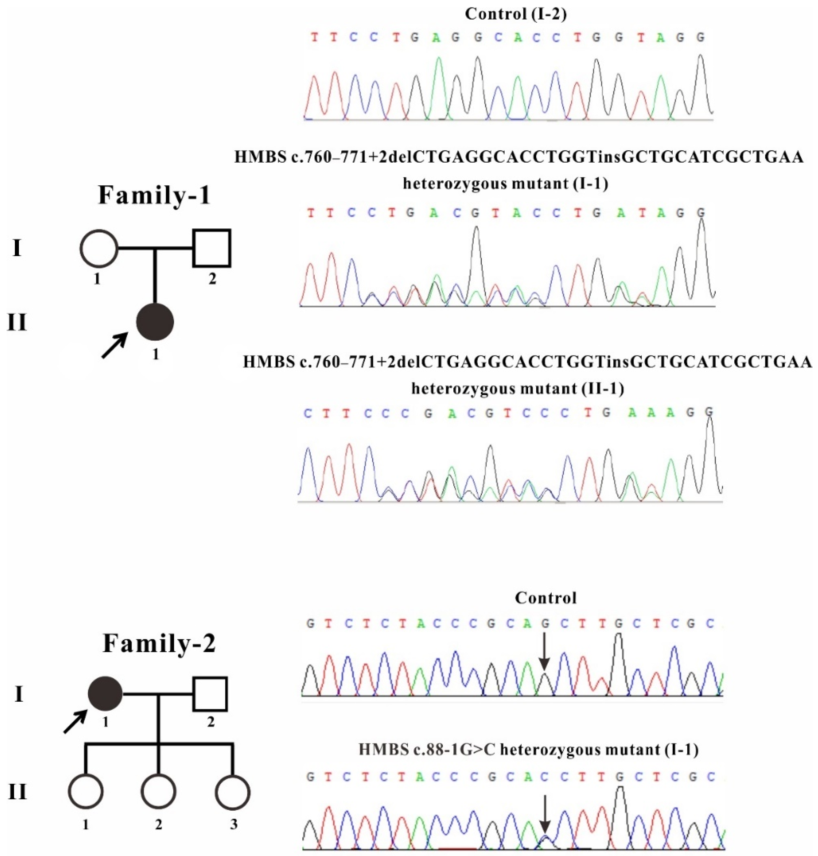 Ijms 22 11008 g001 550