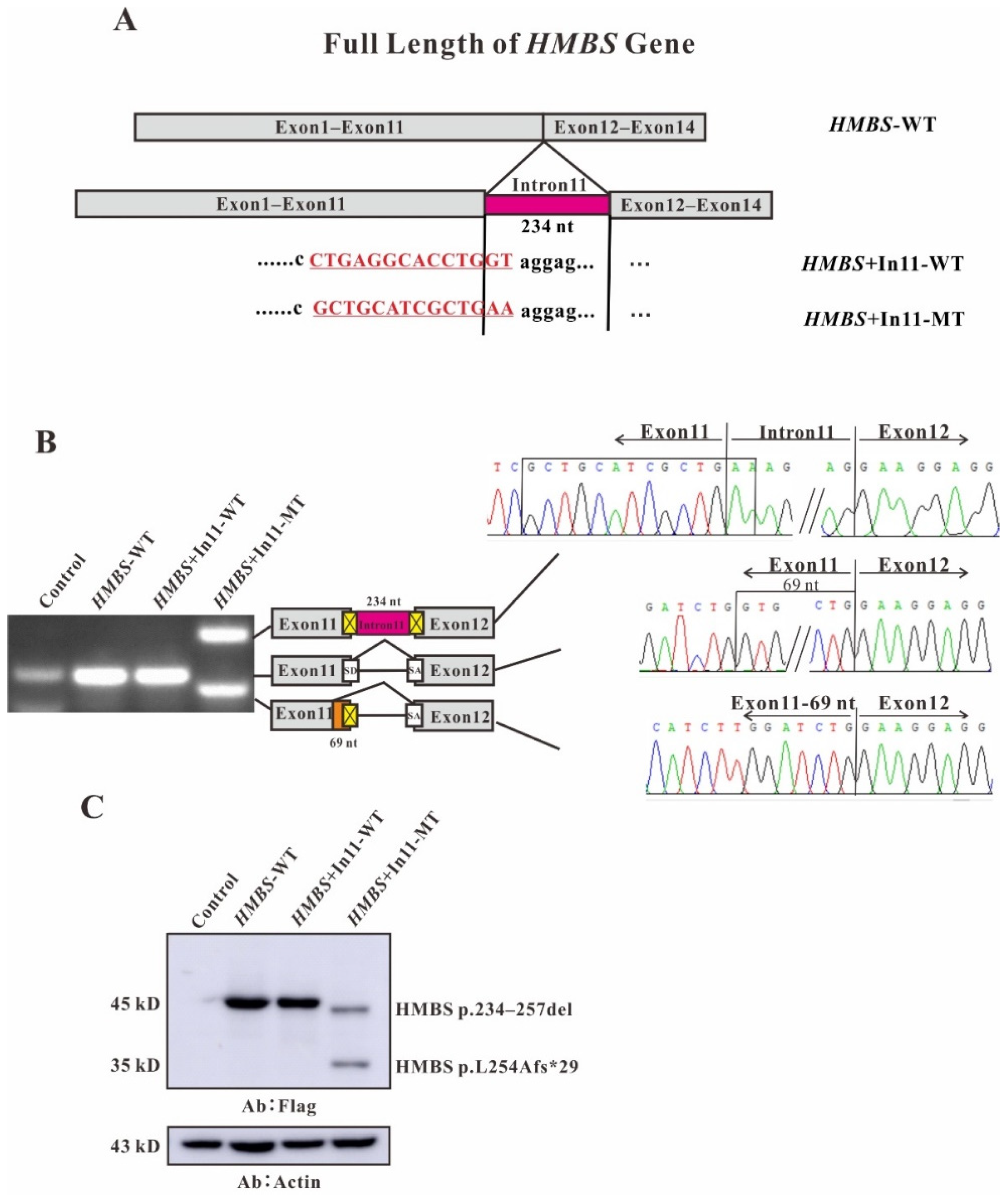 Ijms 22 11008 g002 550