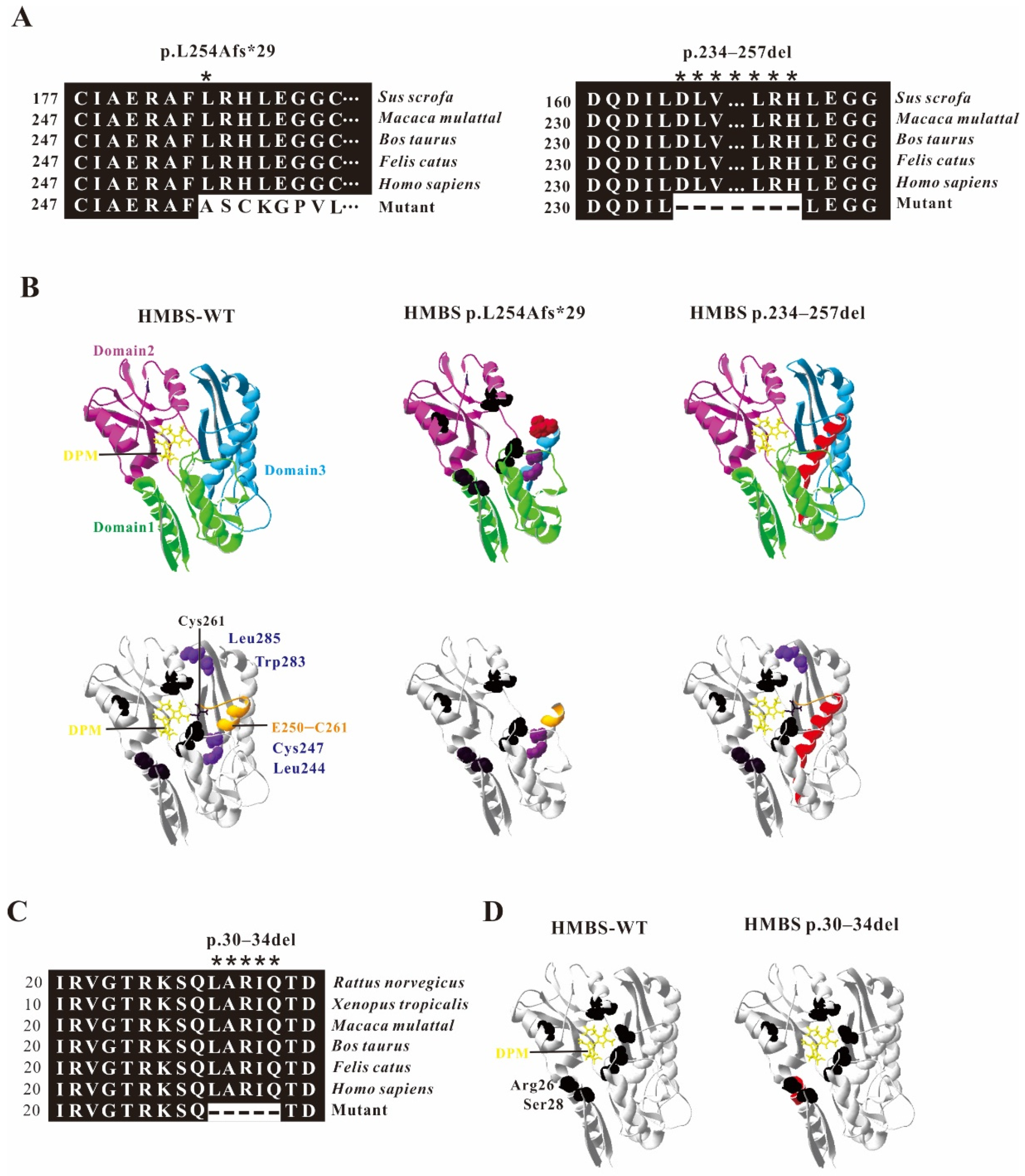Ijms 22 11008 g004 550