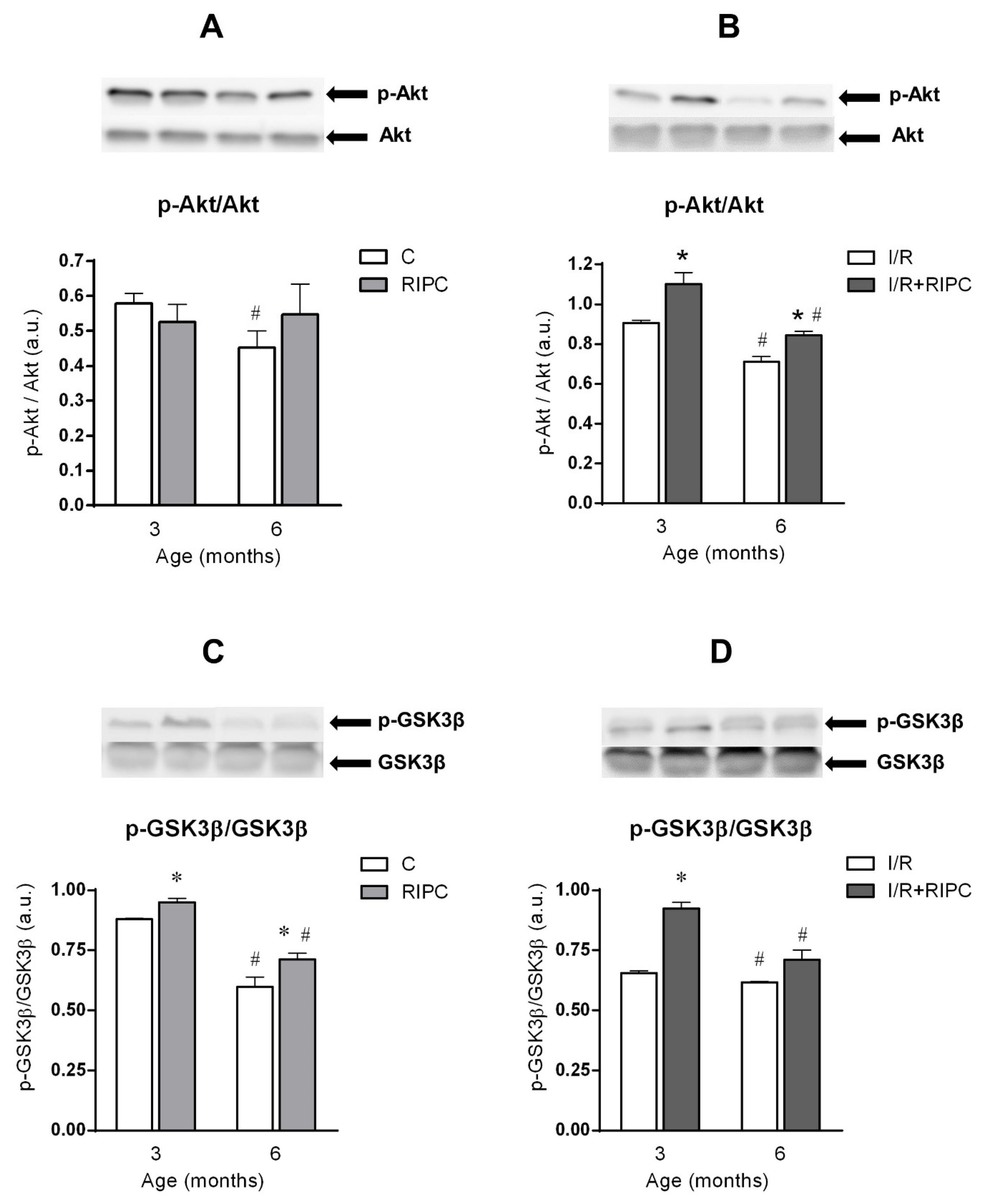 Ijms 22 11009 g002 550