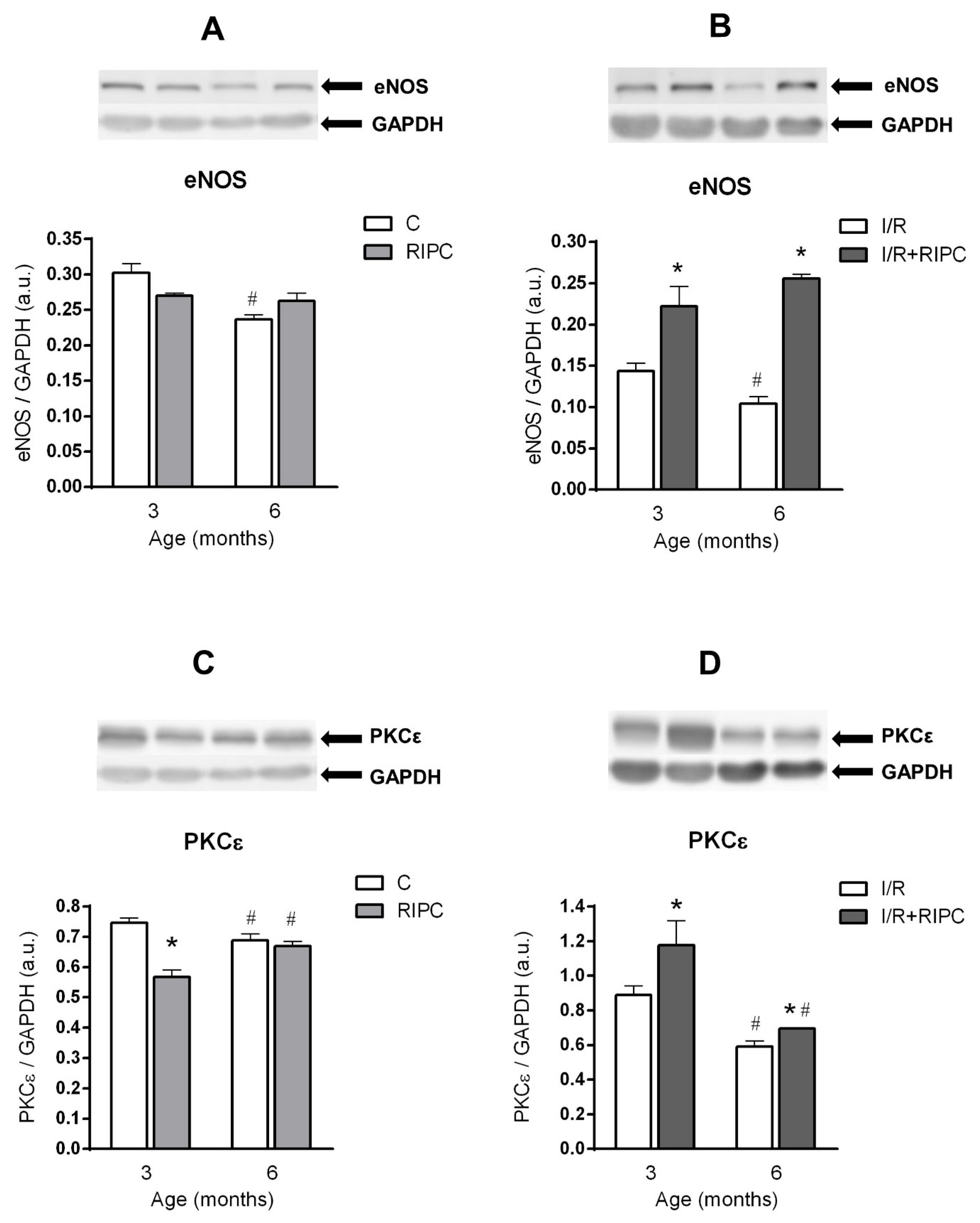 Ijms 22 11009 g003 550
