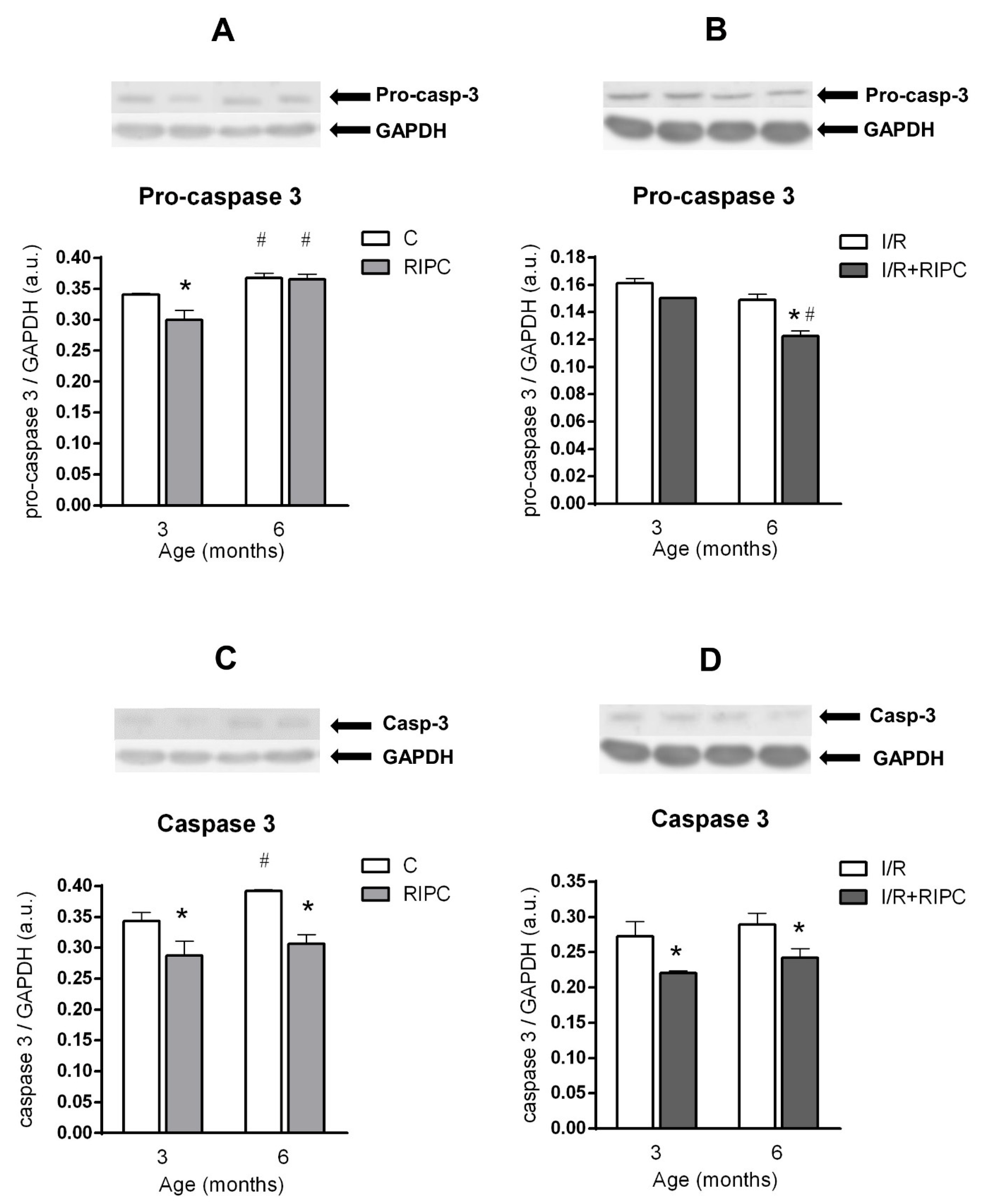 Ijms 22 11009 g004 550