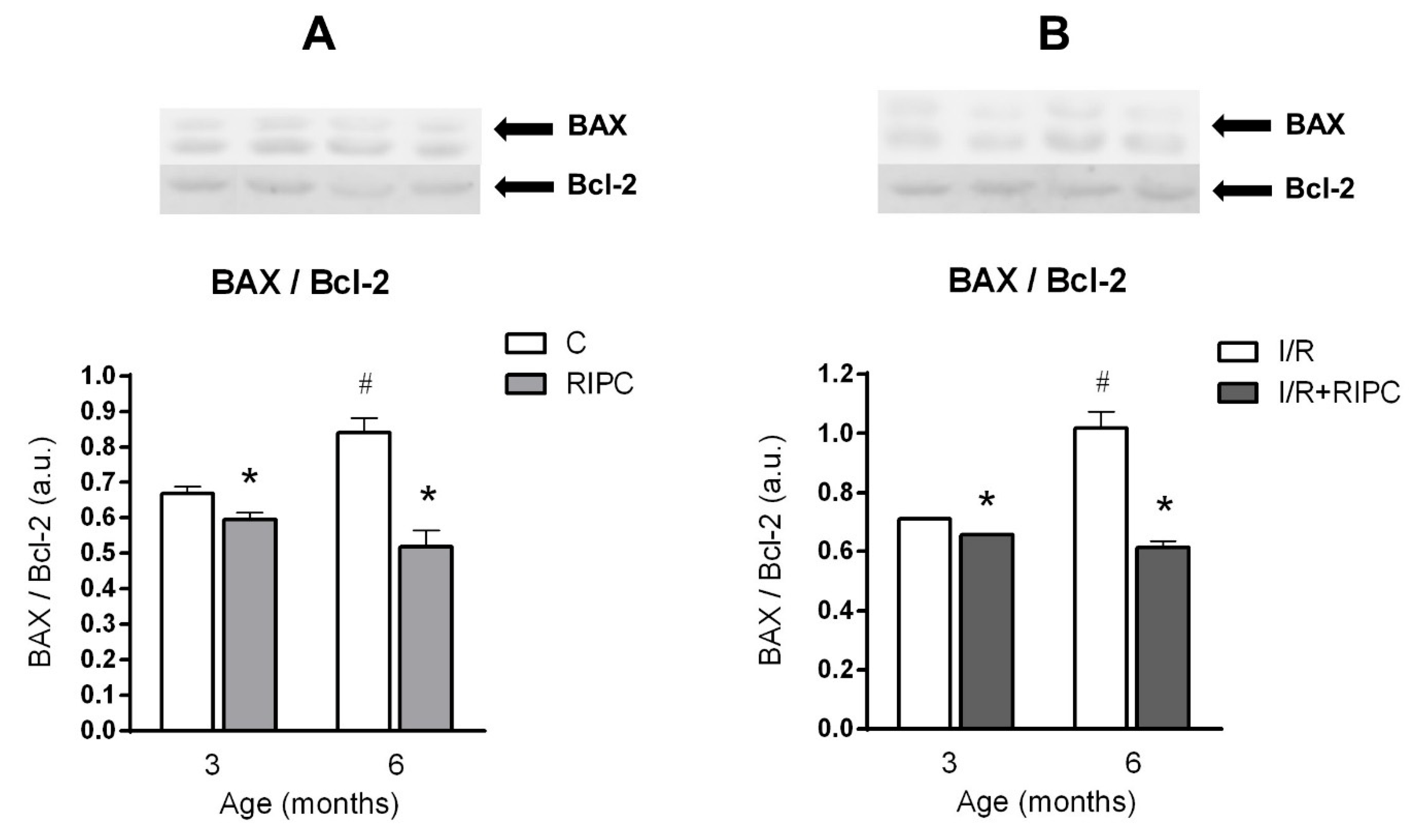 Ijms 22 11009 g005 550