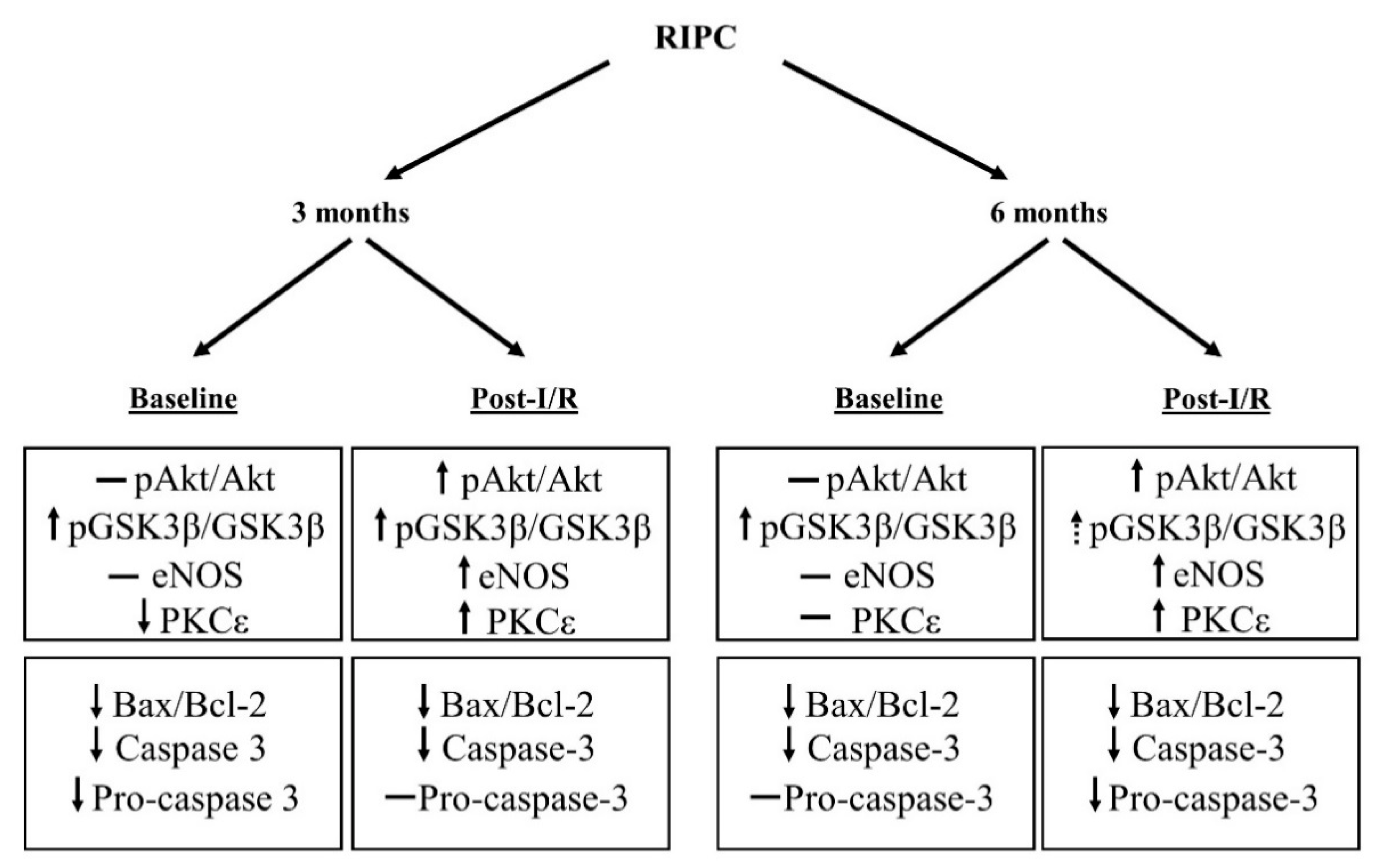 Ijms 22 11009 g006 550