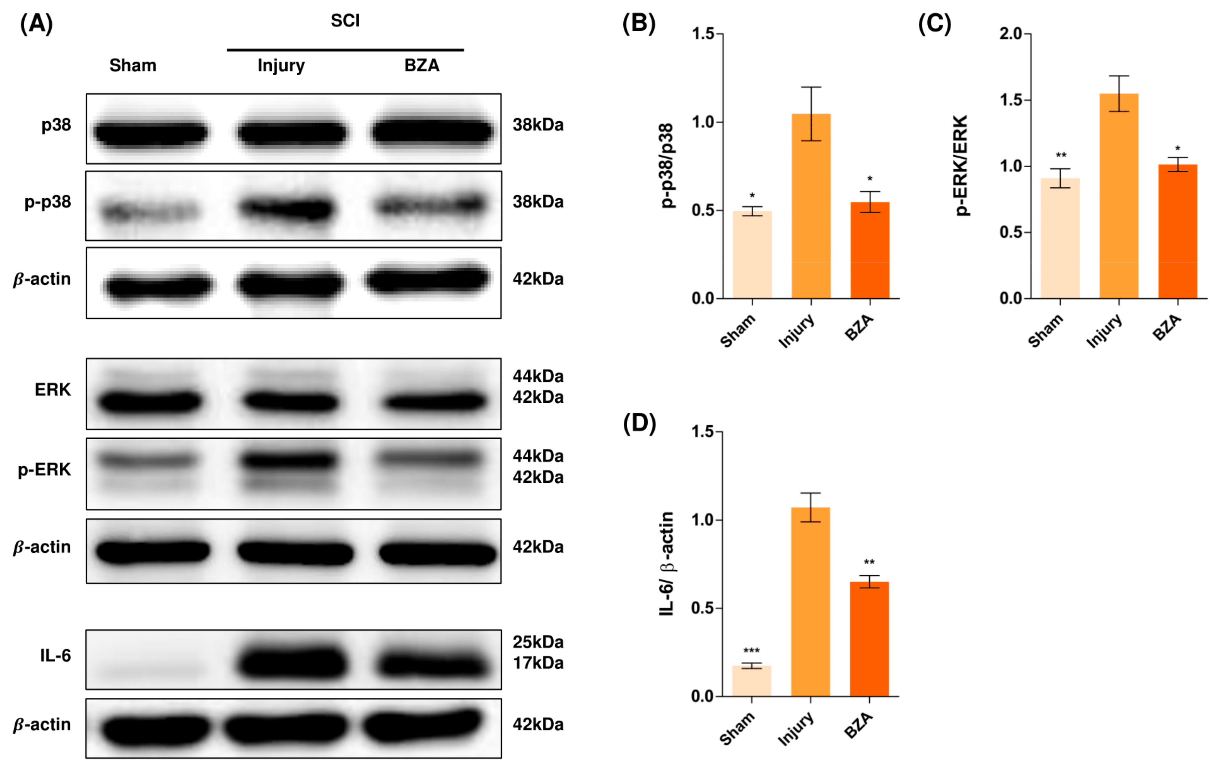Ijms 22 11012 g005 550