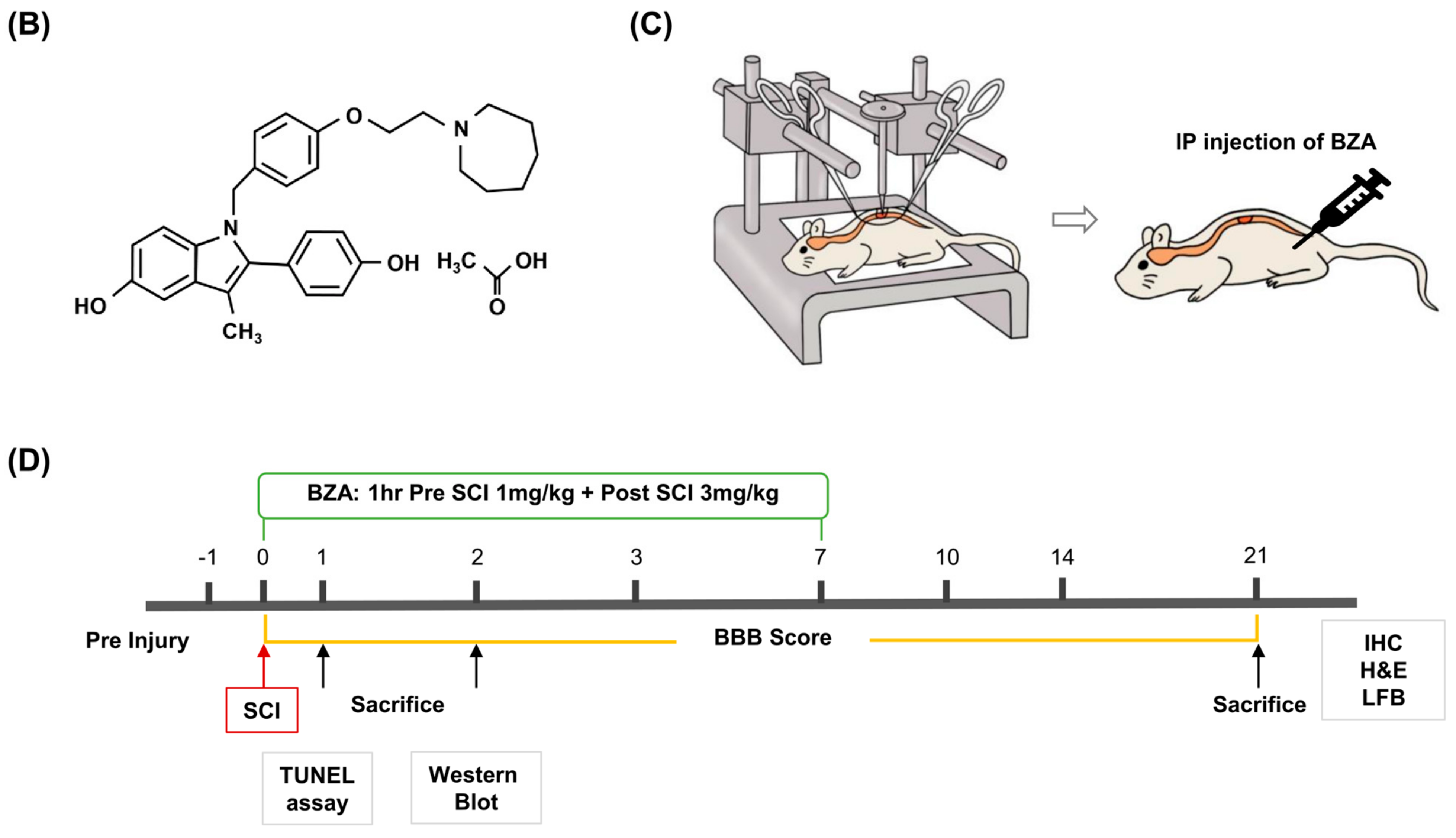 Ijms 22 11012 g008b 550