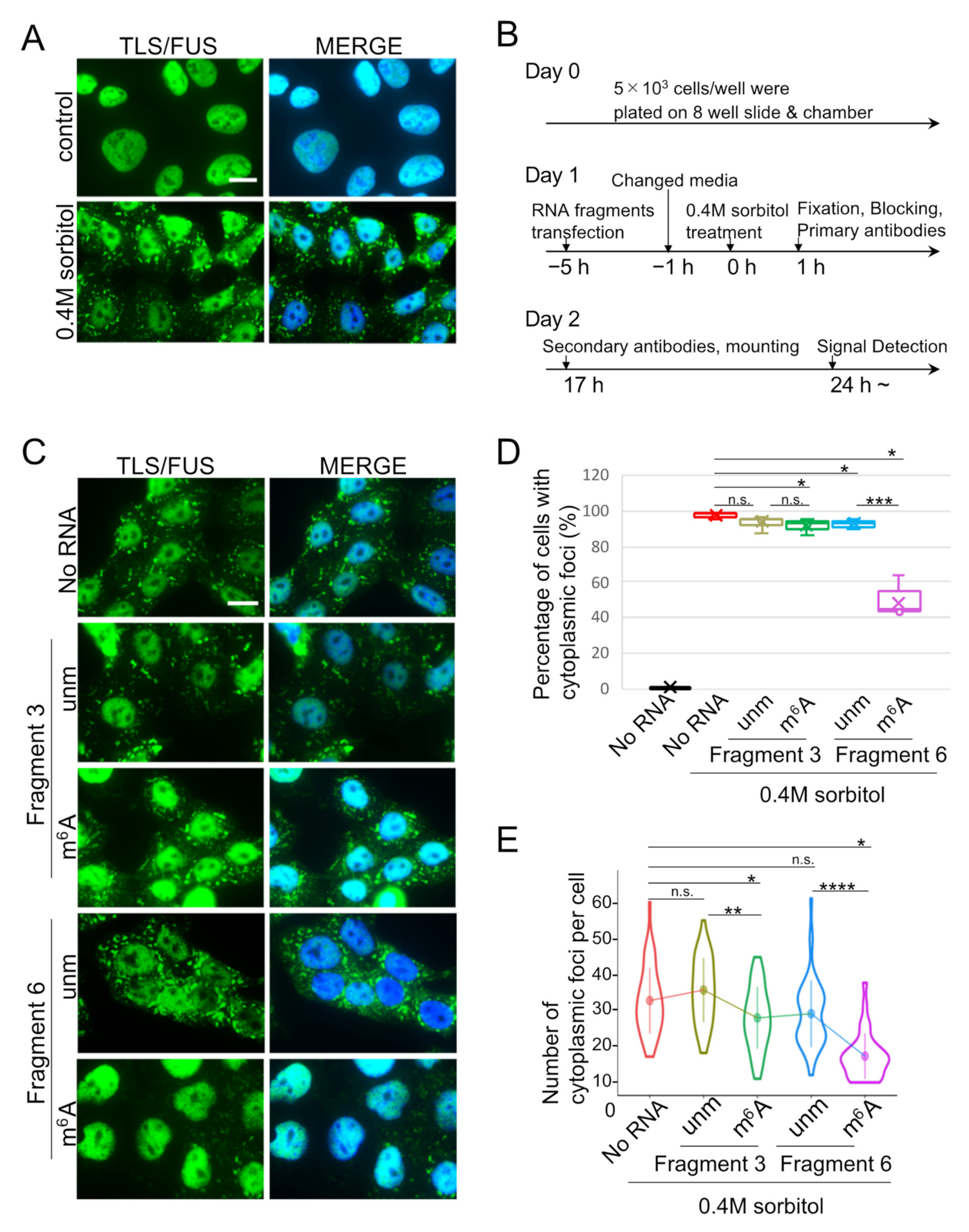 Ijms 22 11014 g003 550