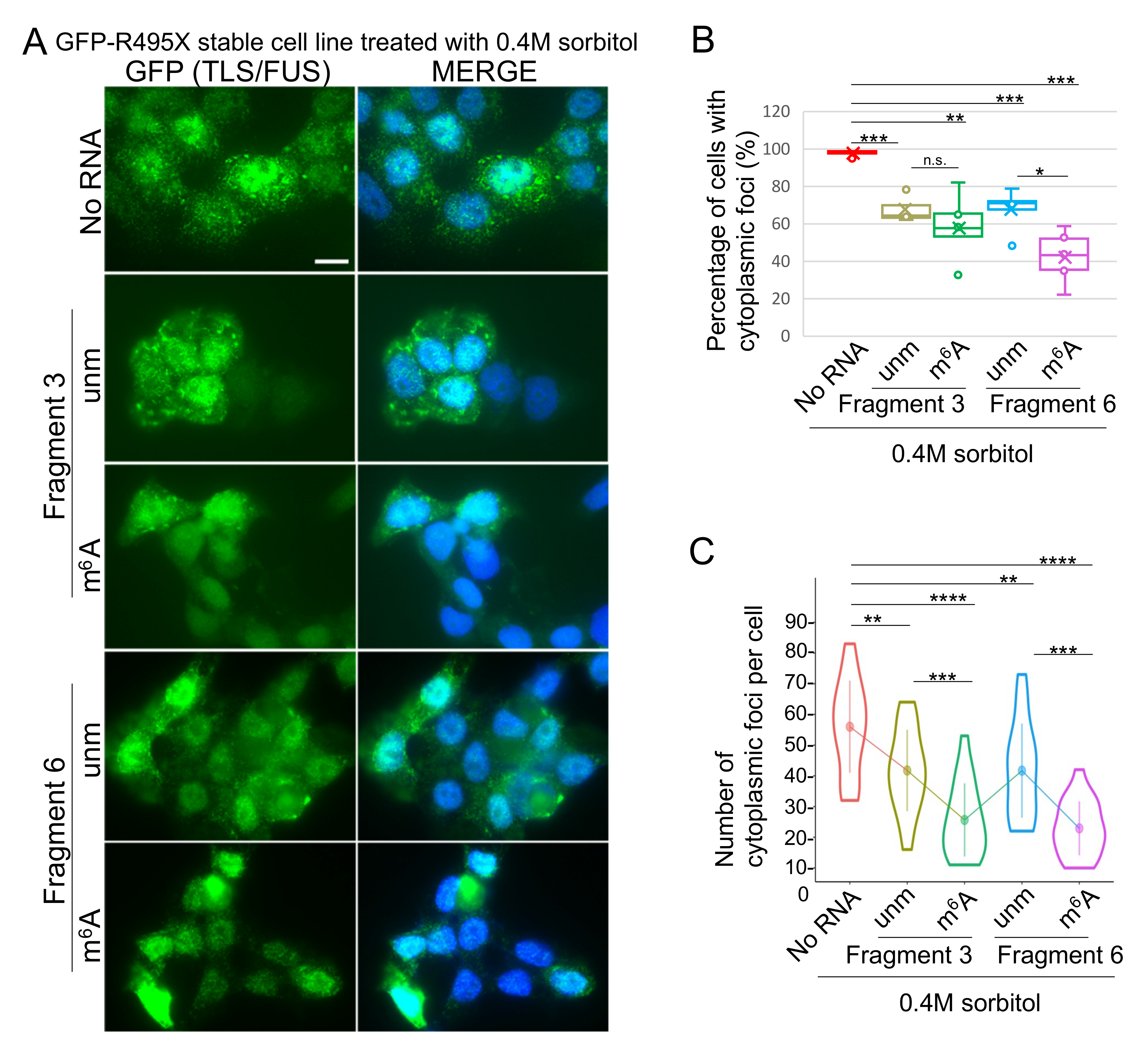 Ijms 22 11014 g004 550