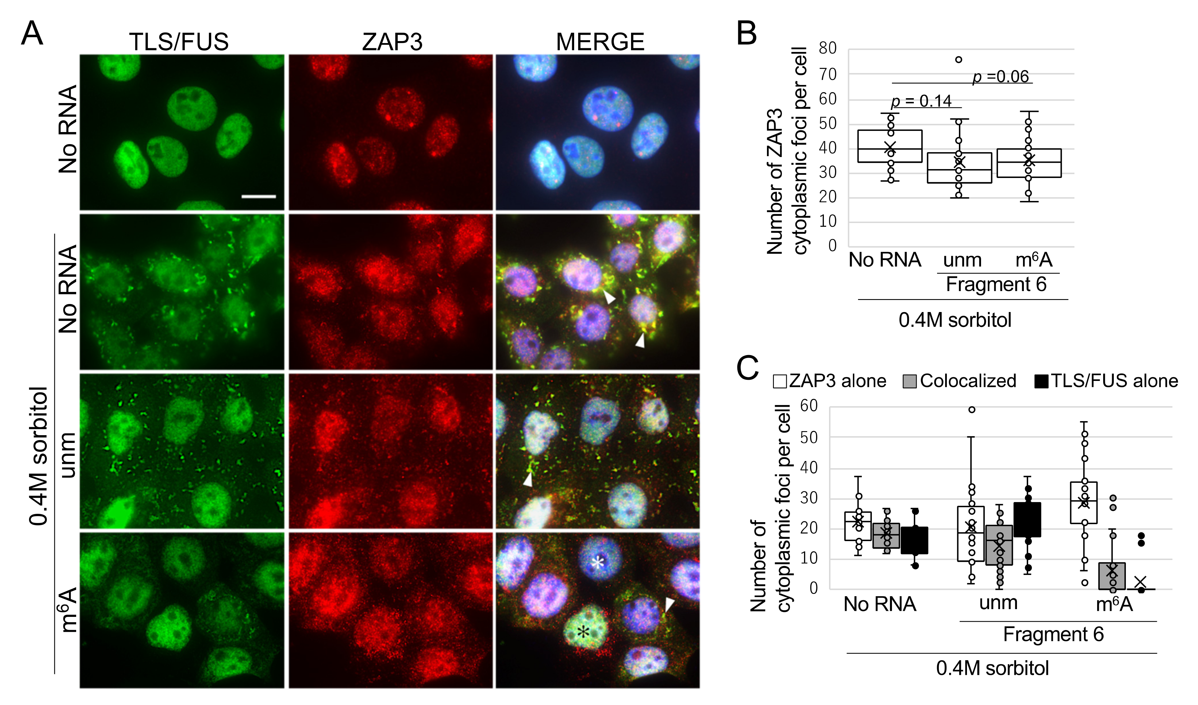 Ijms 22 11014 g006 550