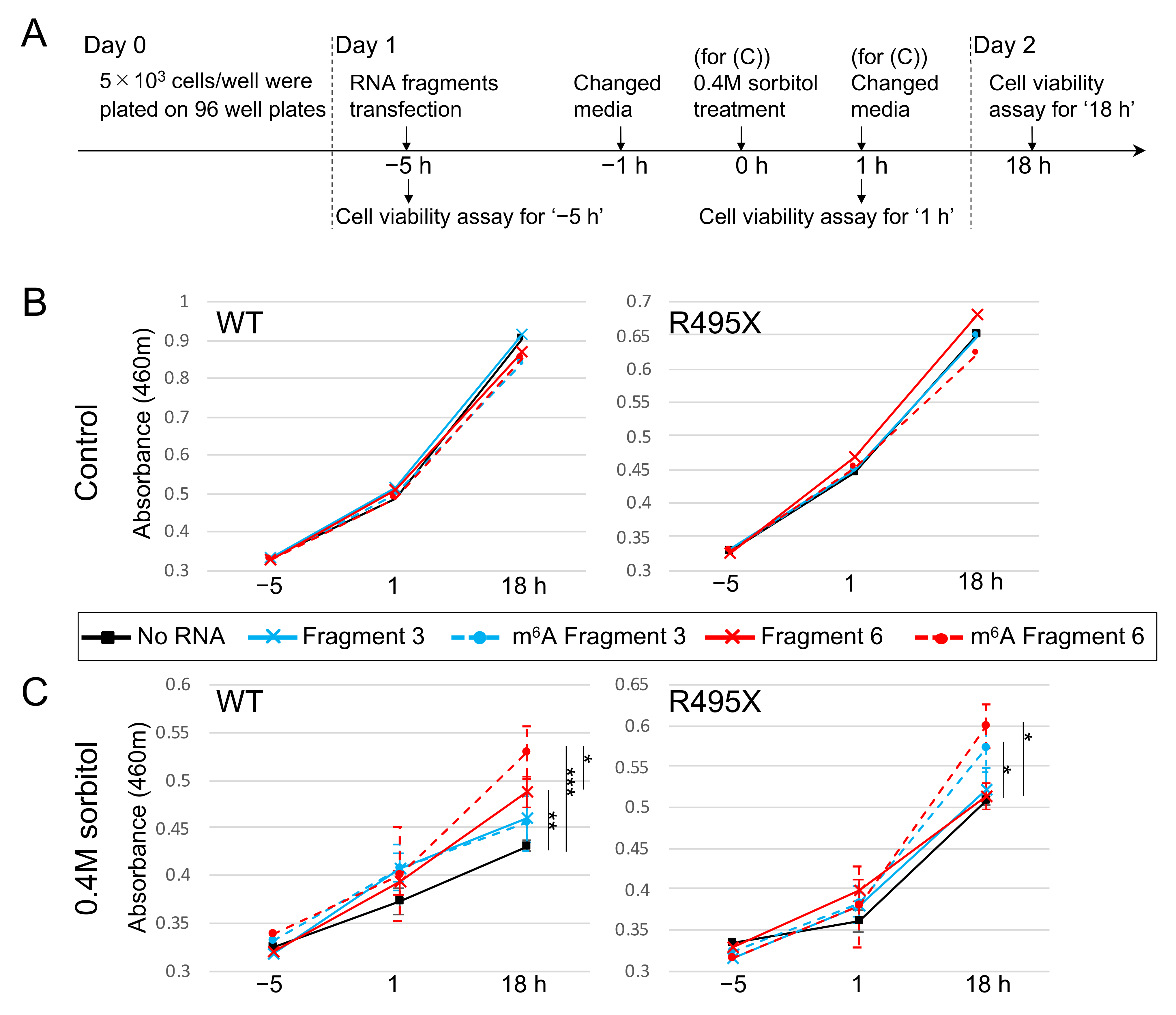 Ijms 22 11014 g007 550