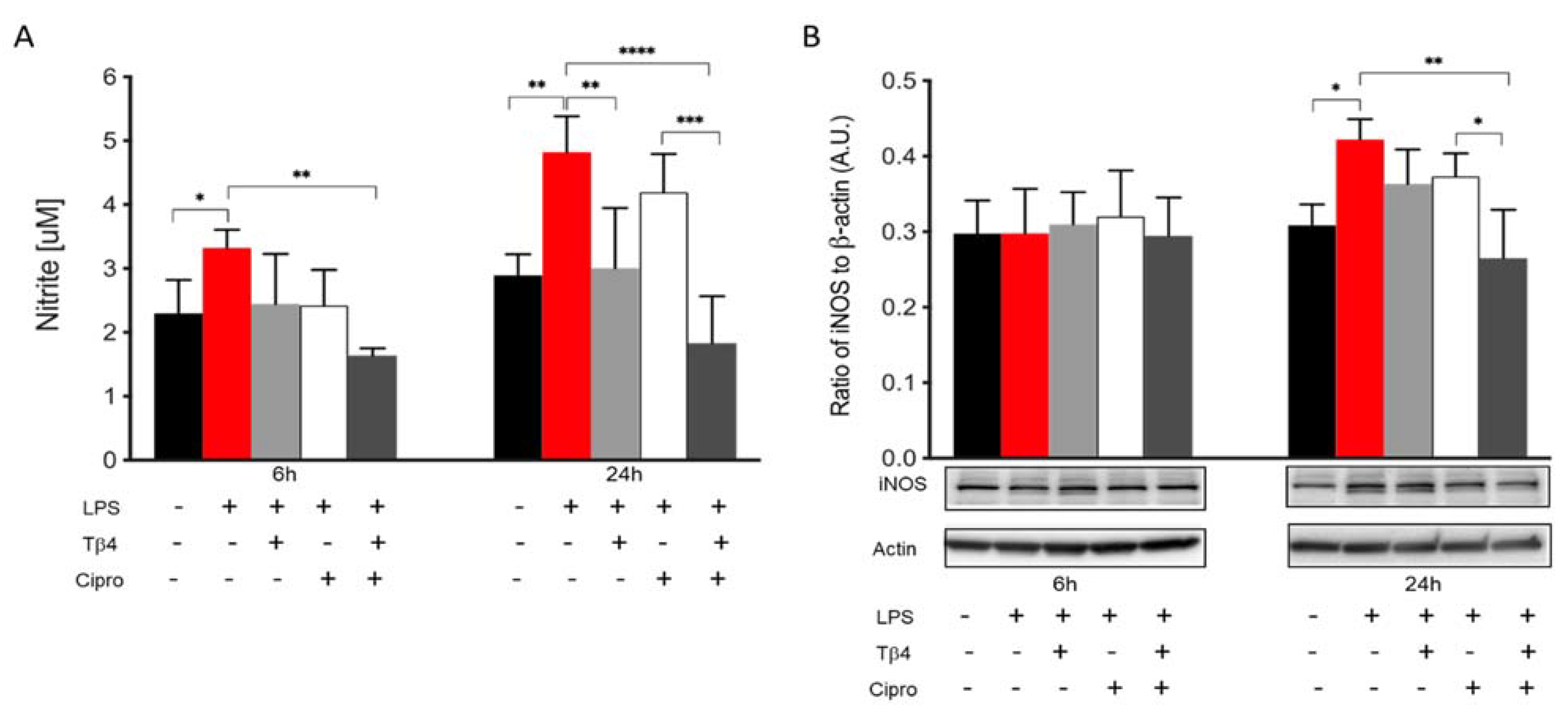 Ijms 22 11016 g005 550