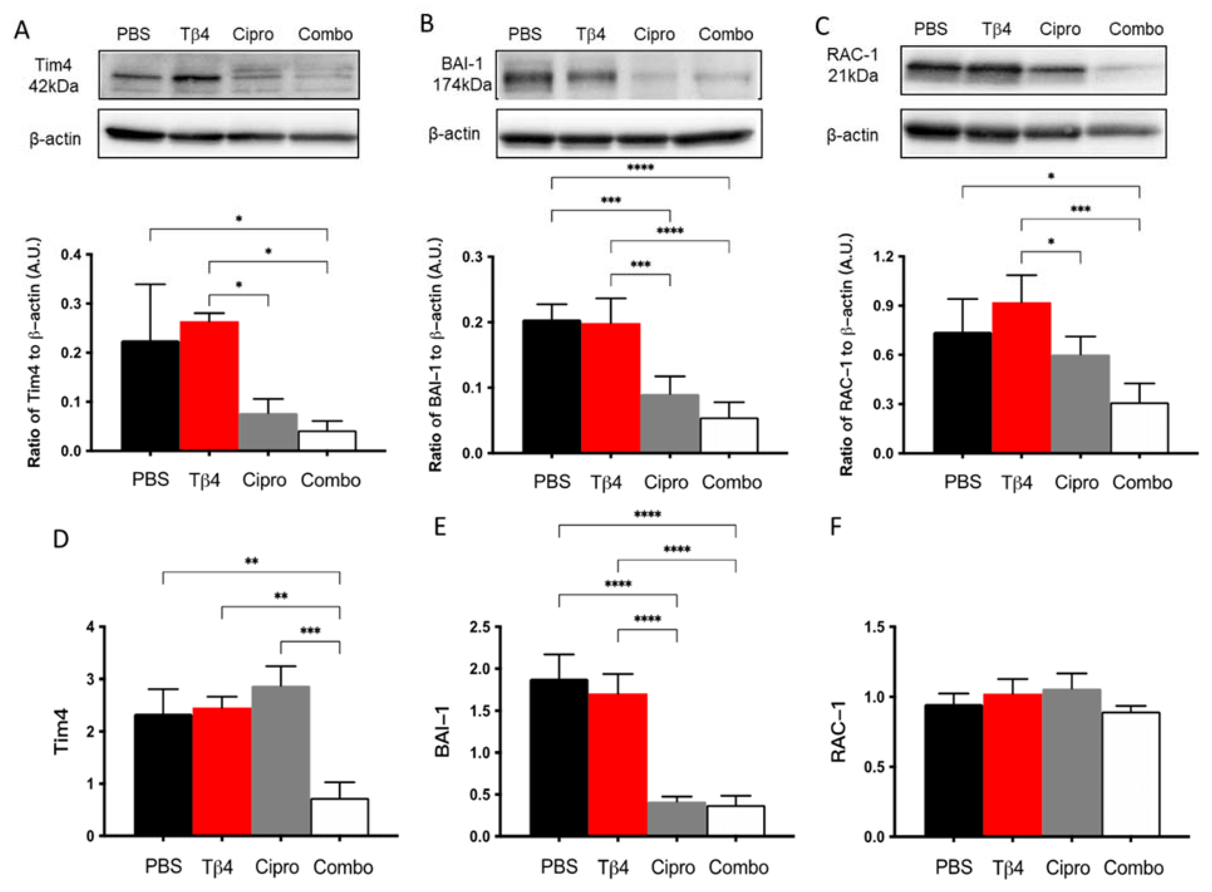 Ijms 22 11016 g006 550