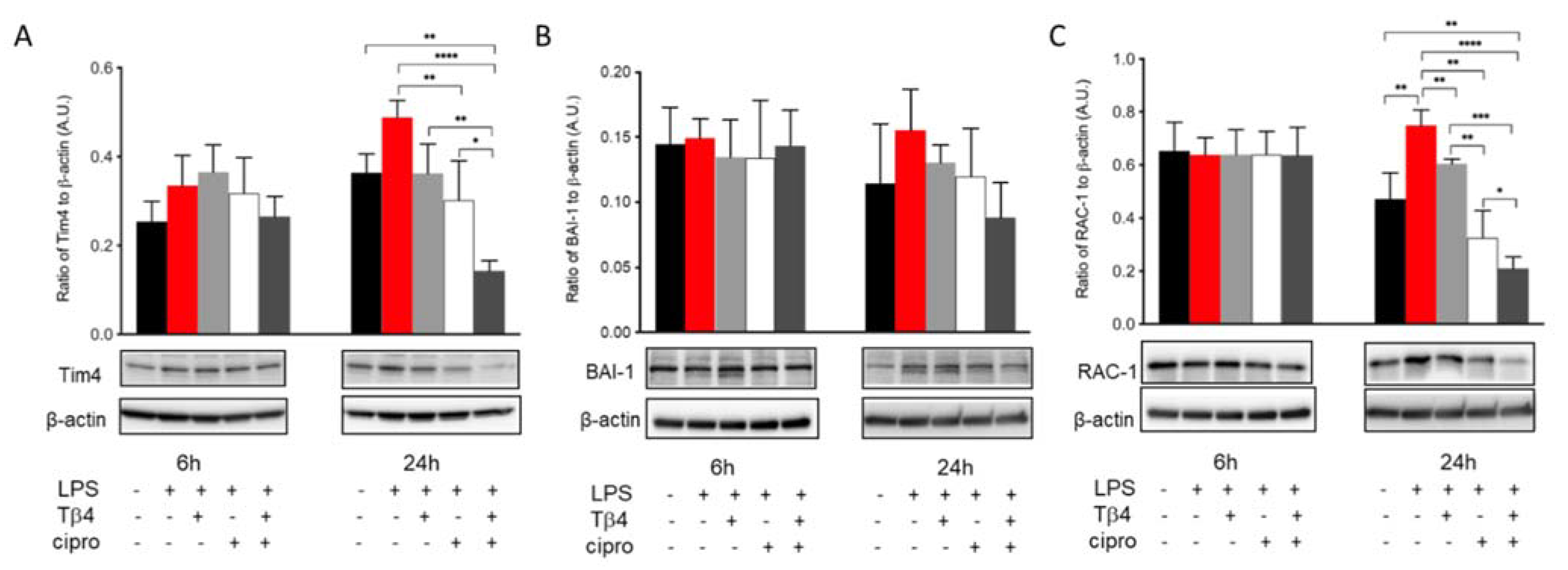 Ijms 22 11016 g007 550