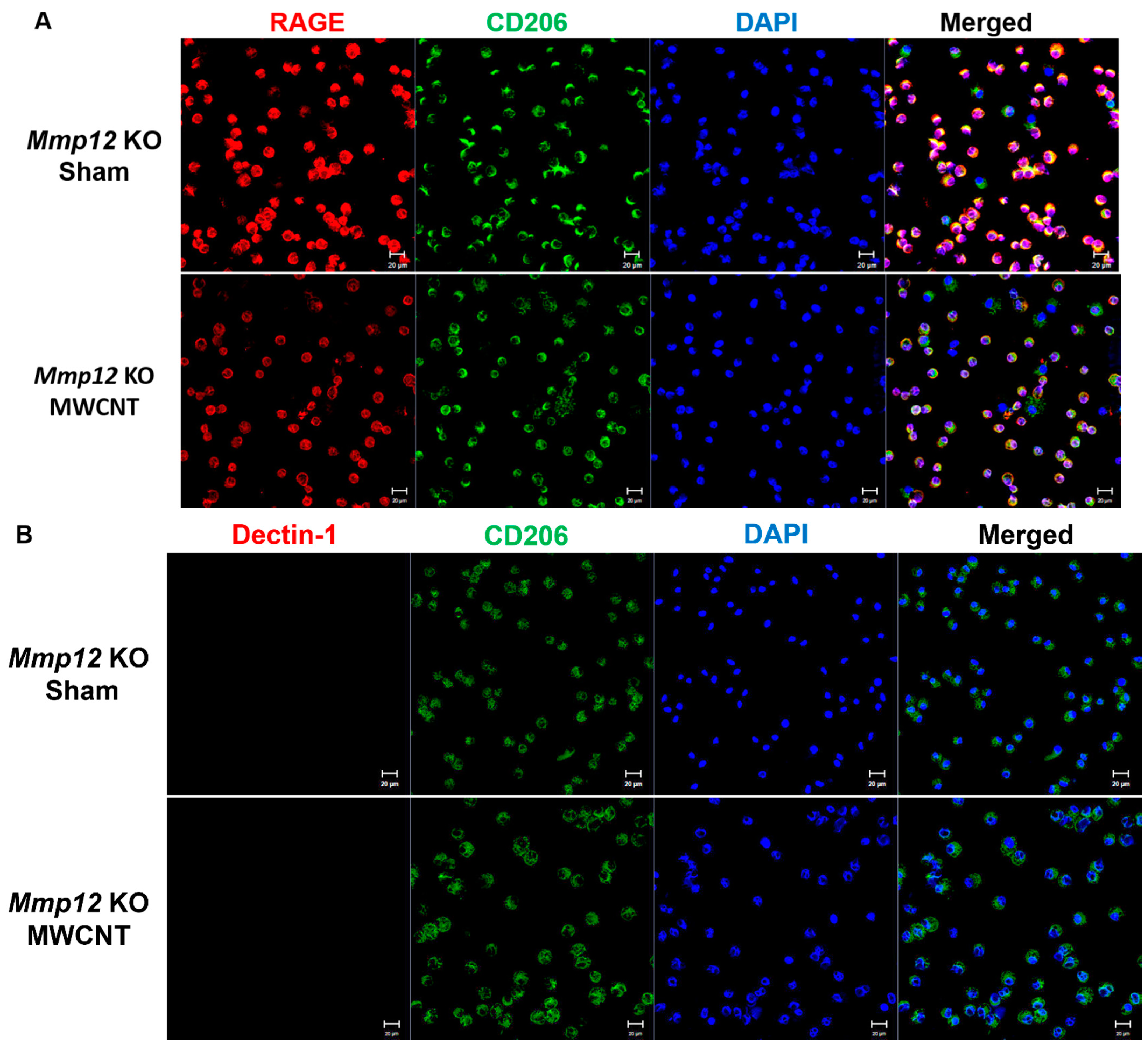 Ijms 22 11019 g002 550