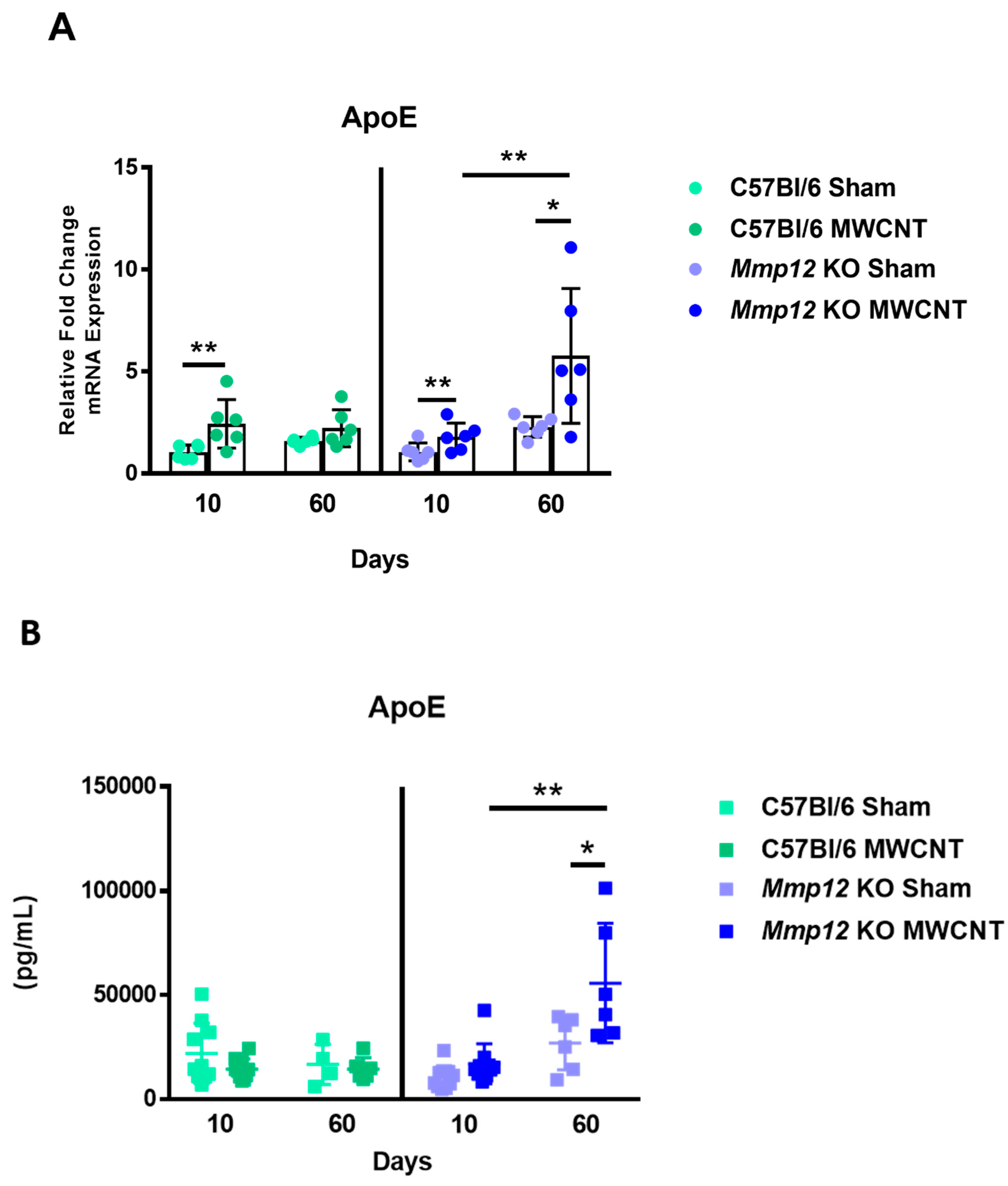 Ijms 22 11019 g005 550