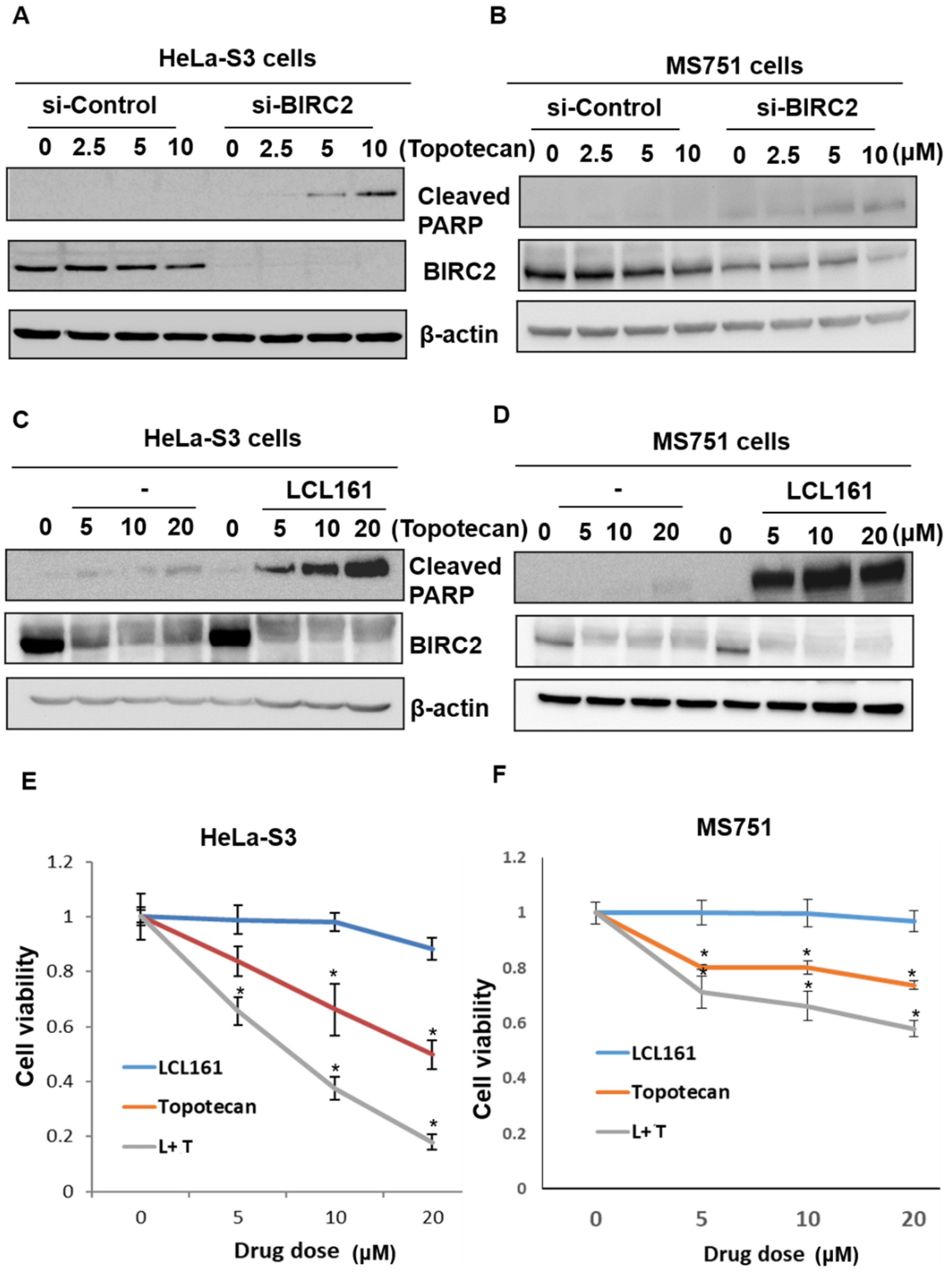Ijms 22 11020 g005 550