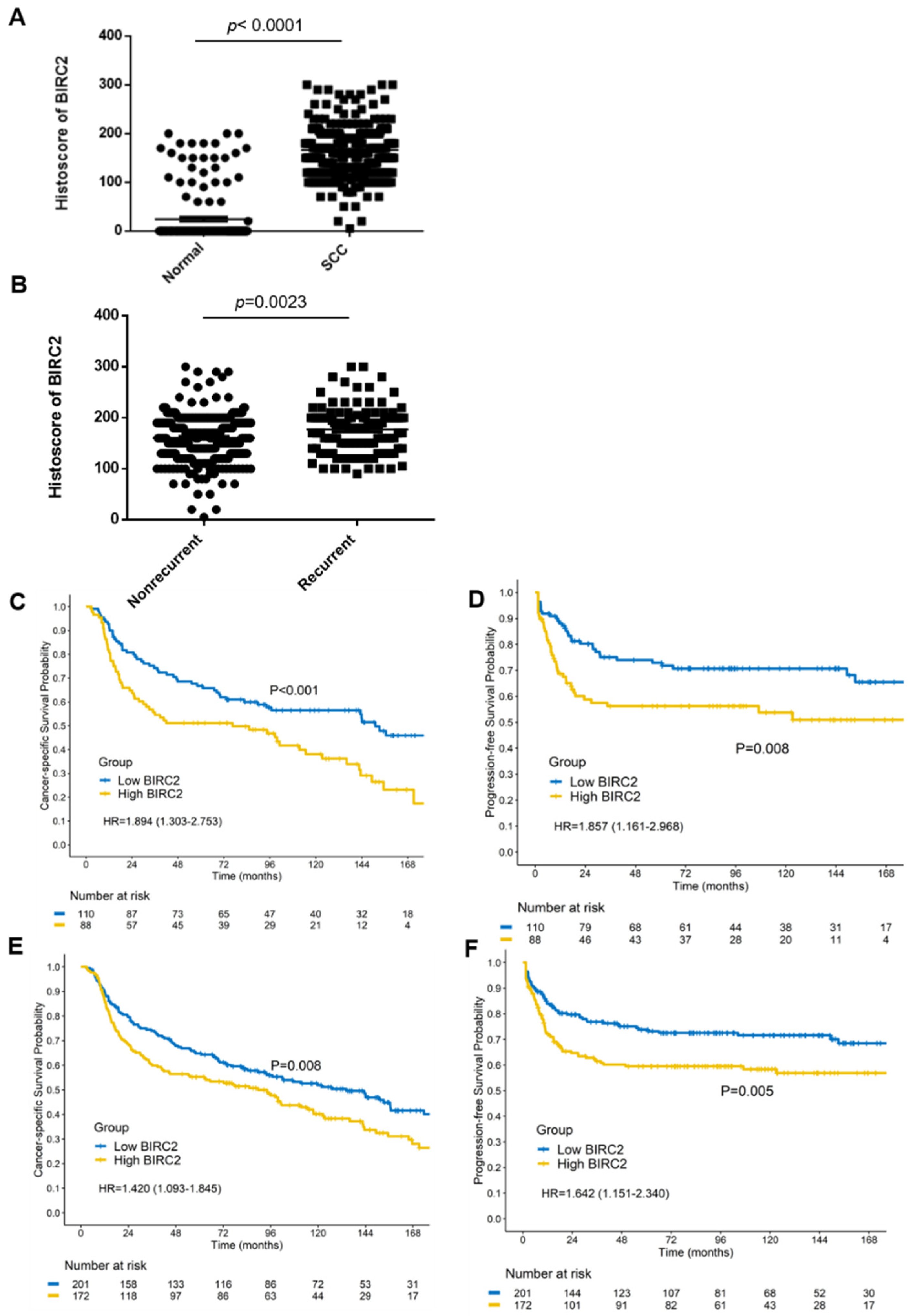 Ijms 22 11020 g007 550