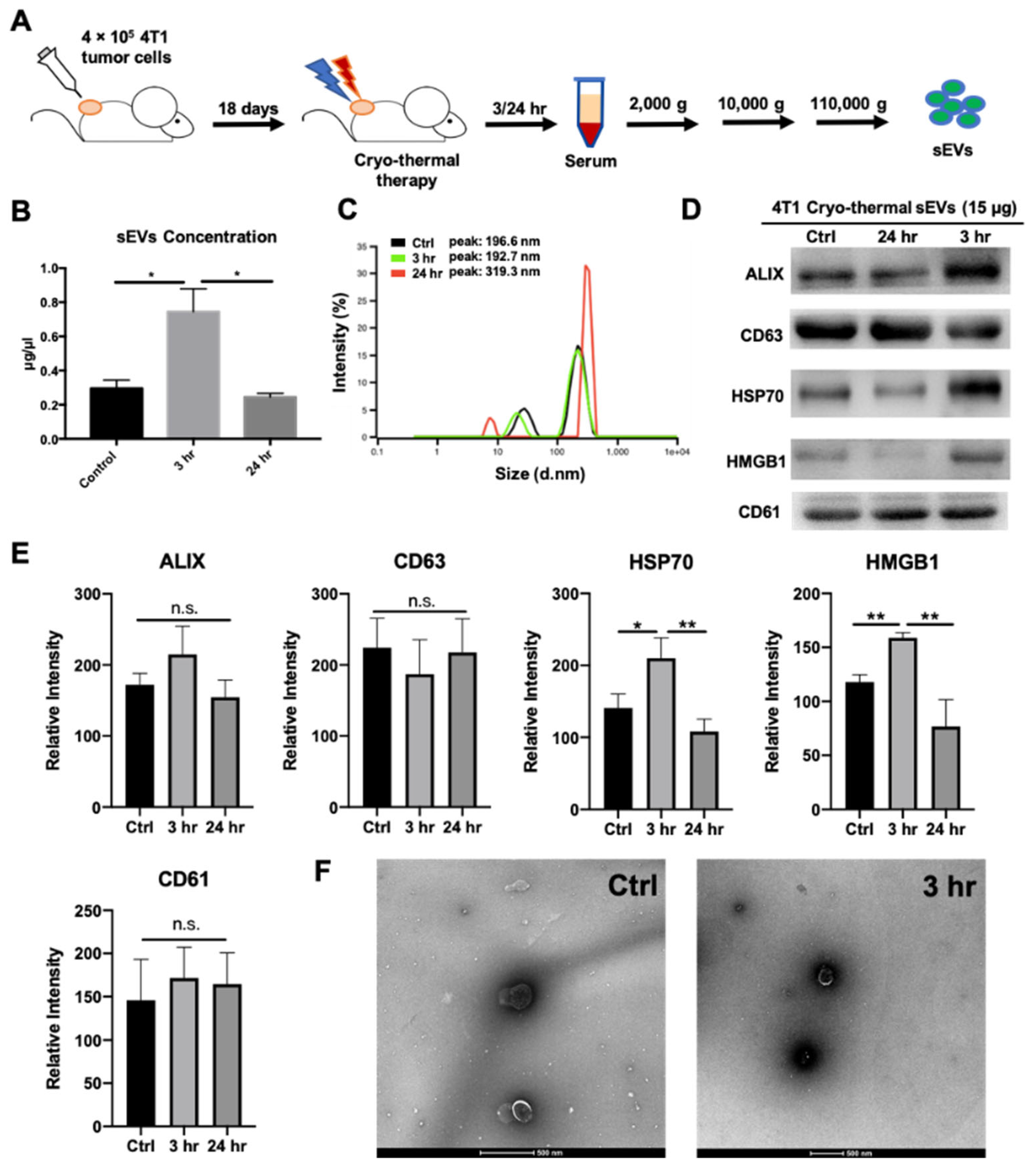 Ijms 22 11021 g001 550