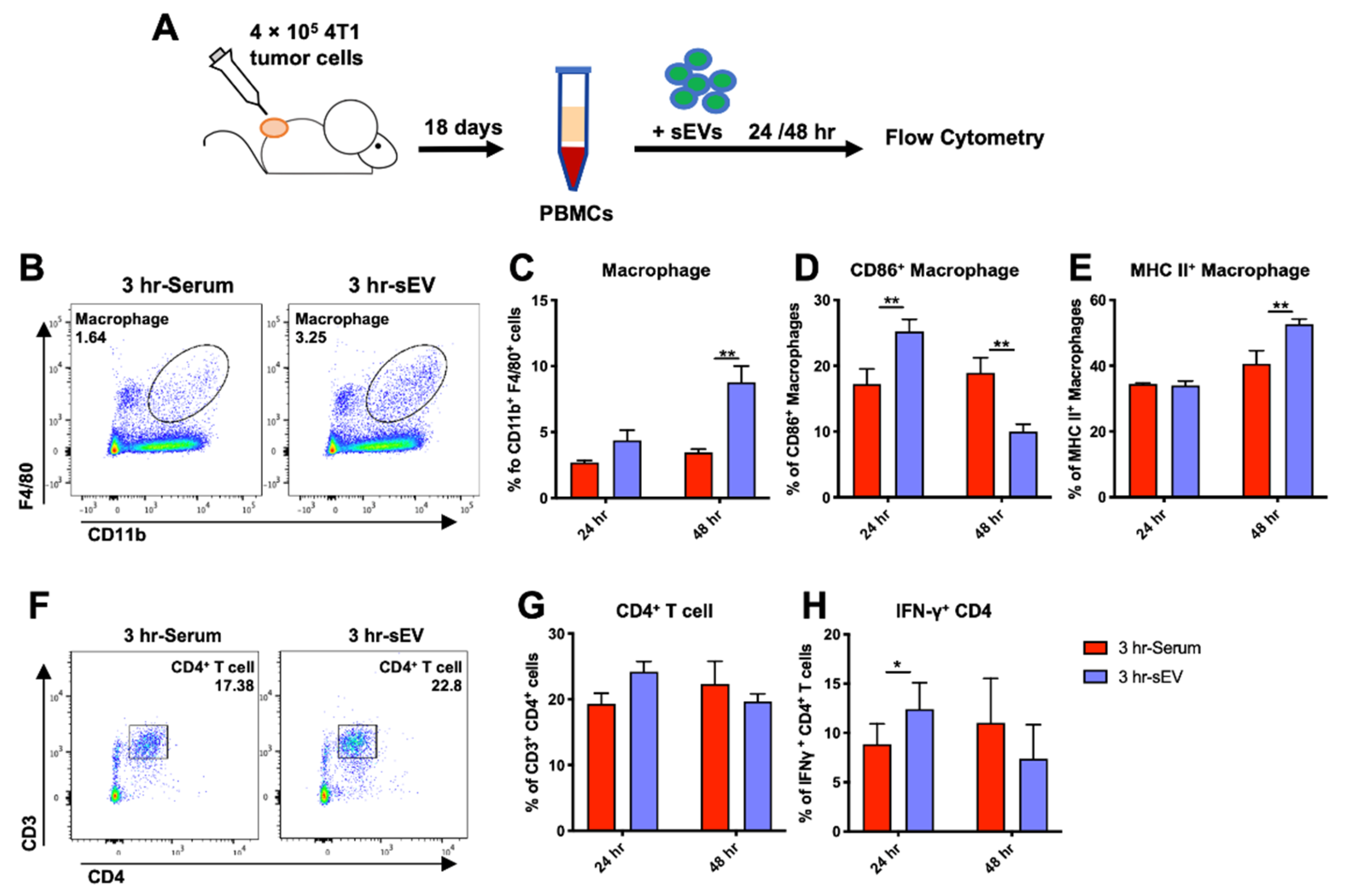 Ijms 22 11021 g007 550