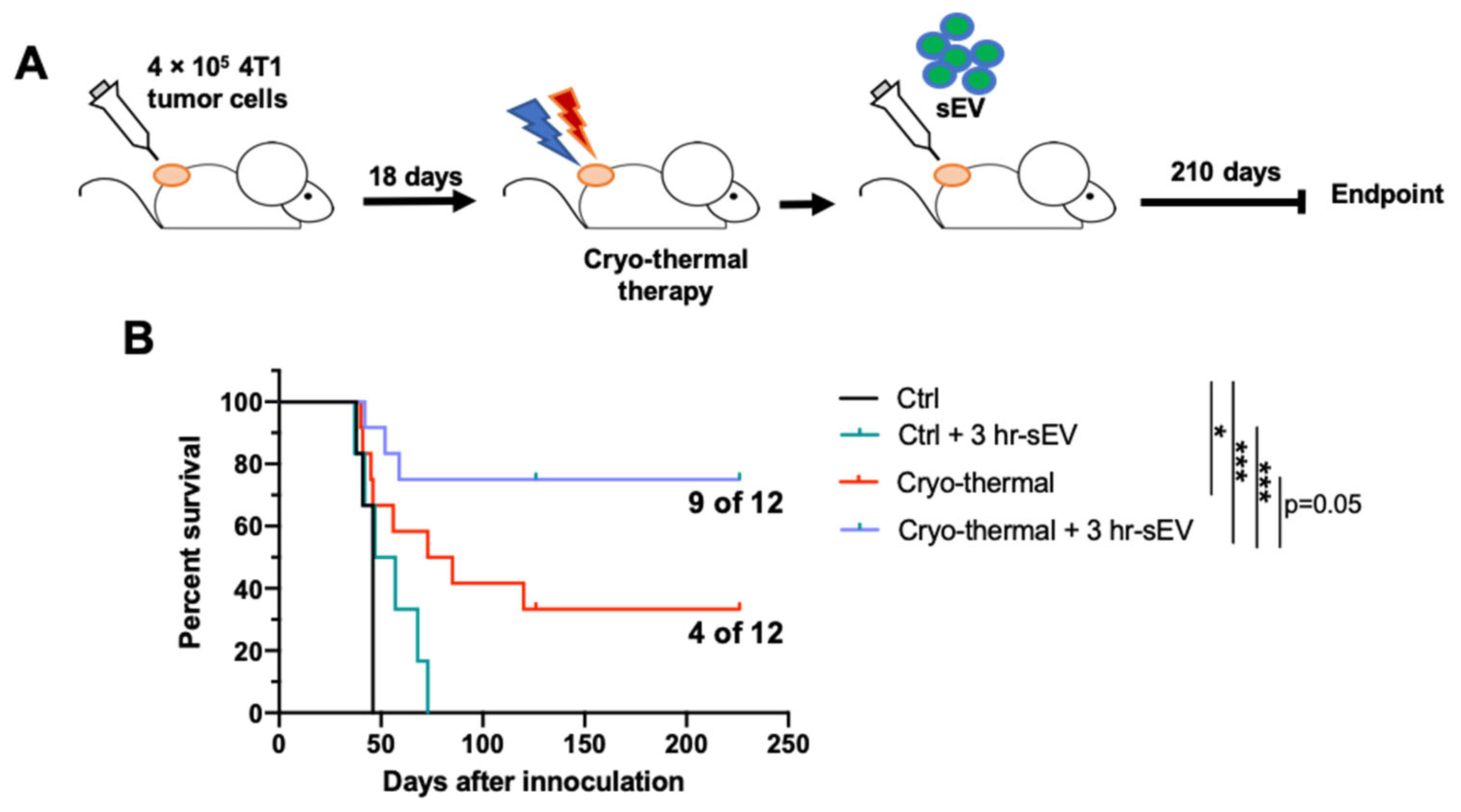 Ijms 22 11021 g008 550