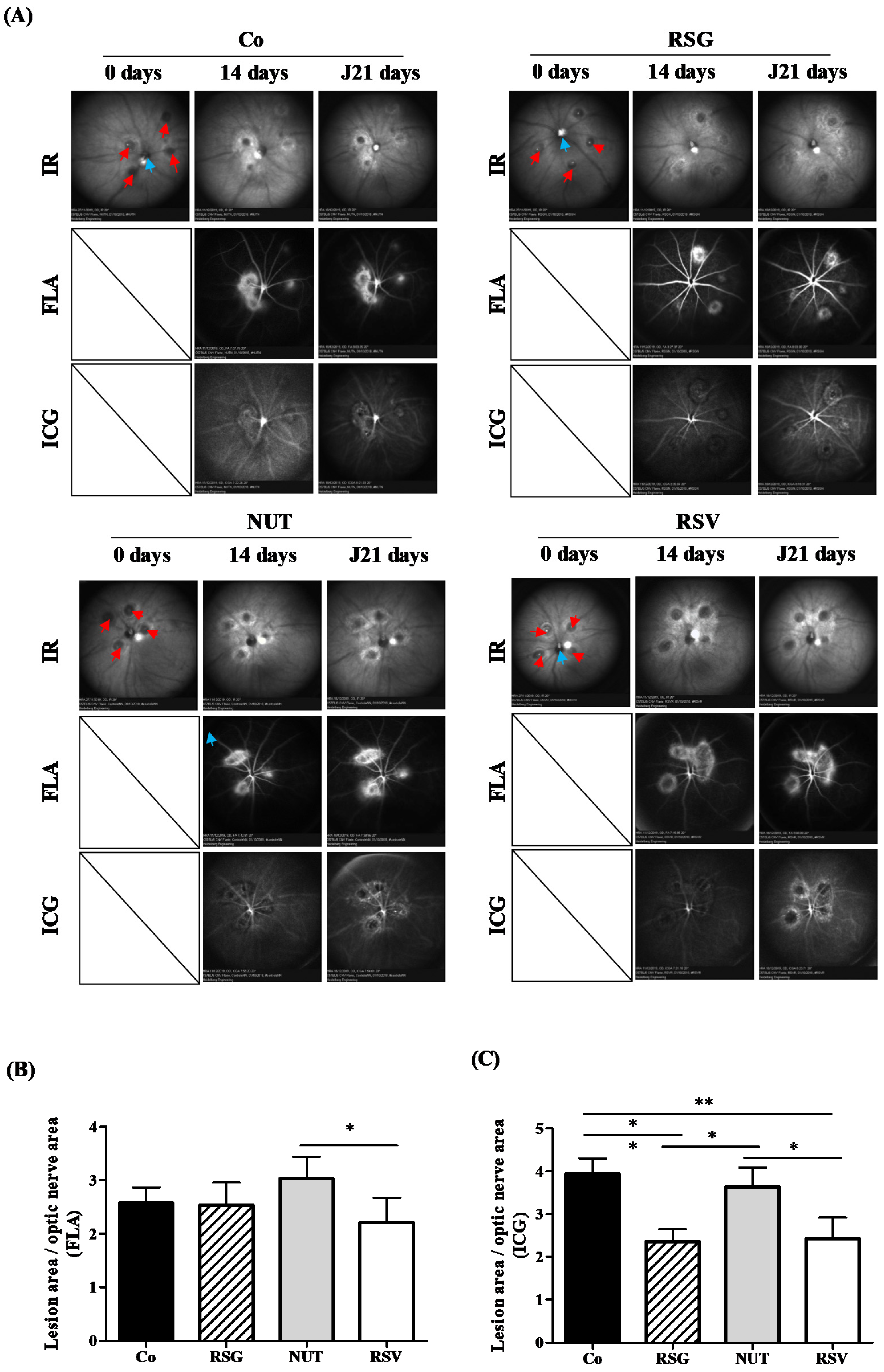 Ijms 22 11023 g001 Ijms 22 11023 g001